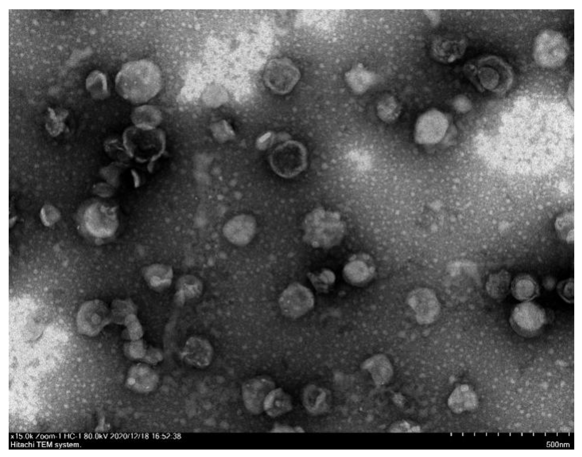 Molecules 27 07967 g004 Molecules 27 07967 g004