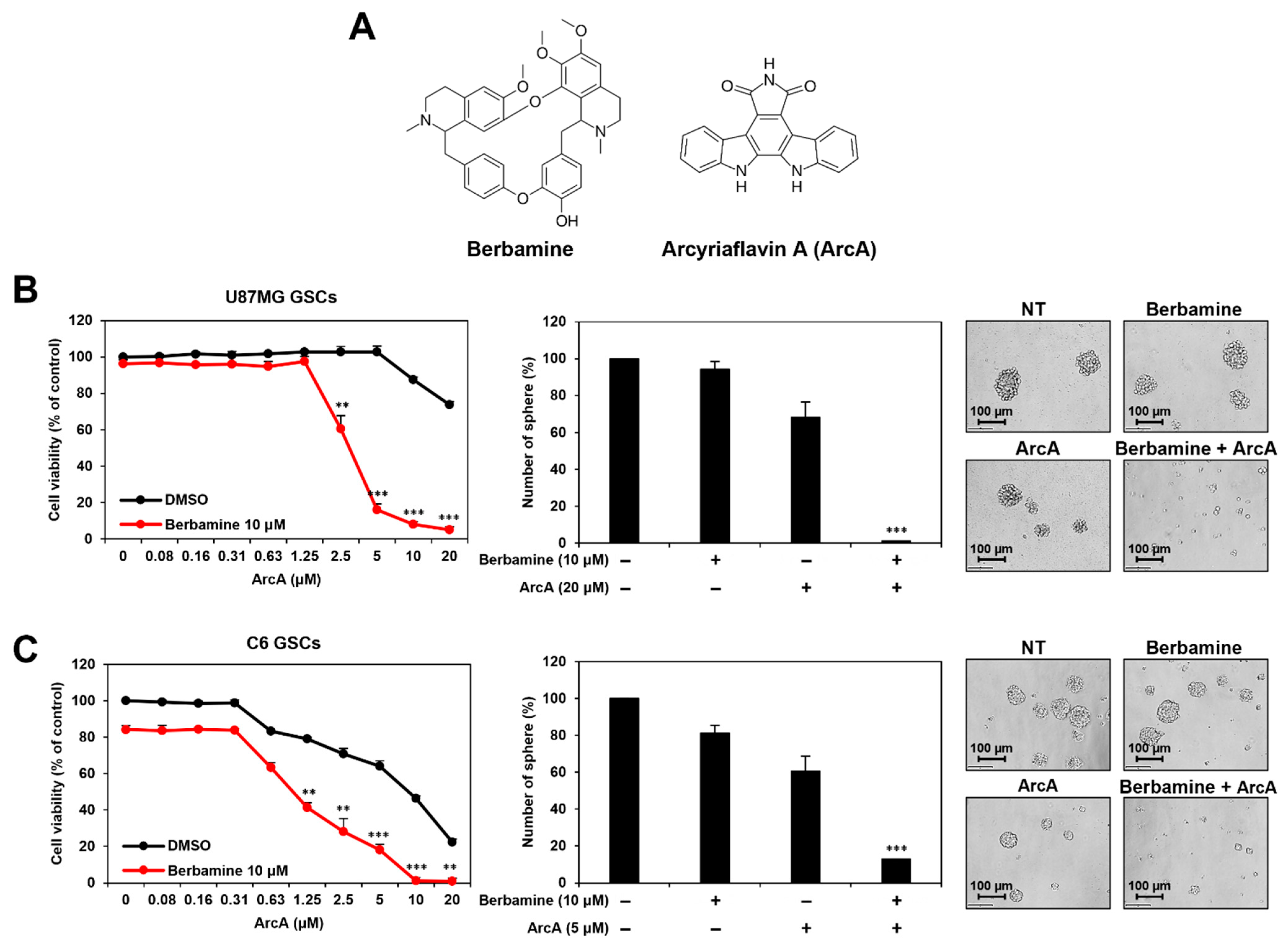 Molecules 27 07968 g001 Molecules 27 07968 g001