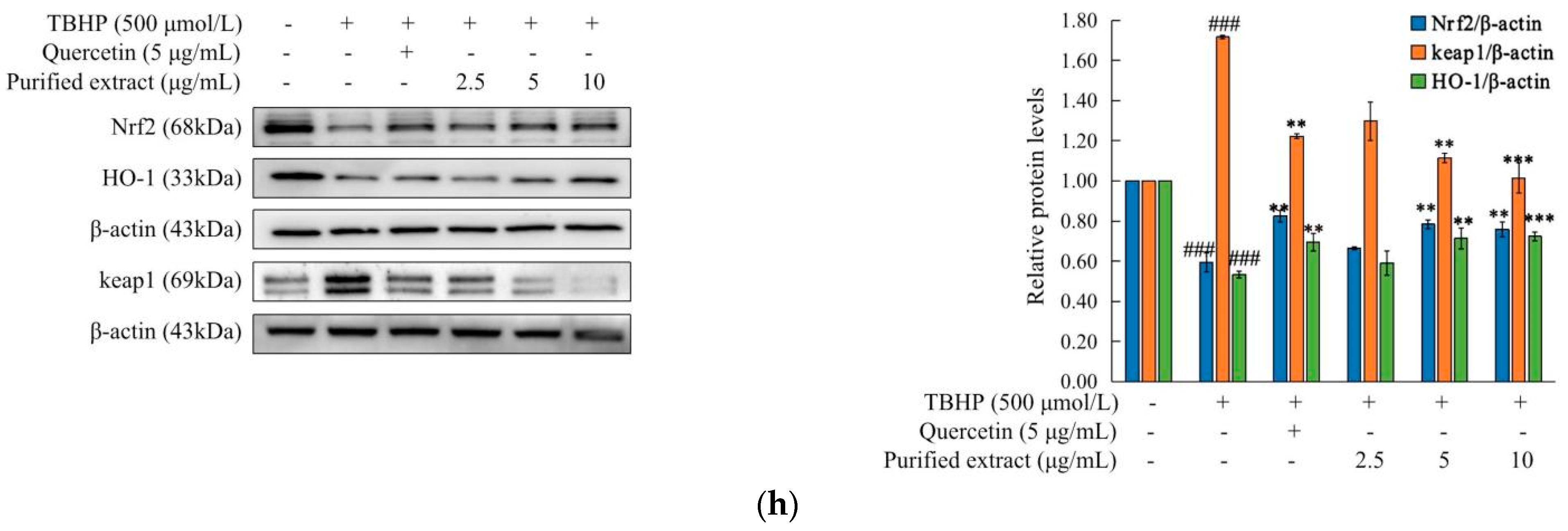 Molecules 27 07970 g005b Molecules 27 07970 g005b