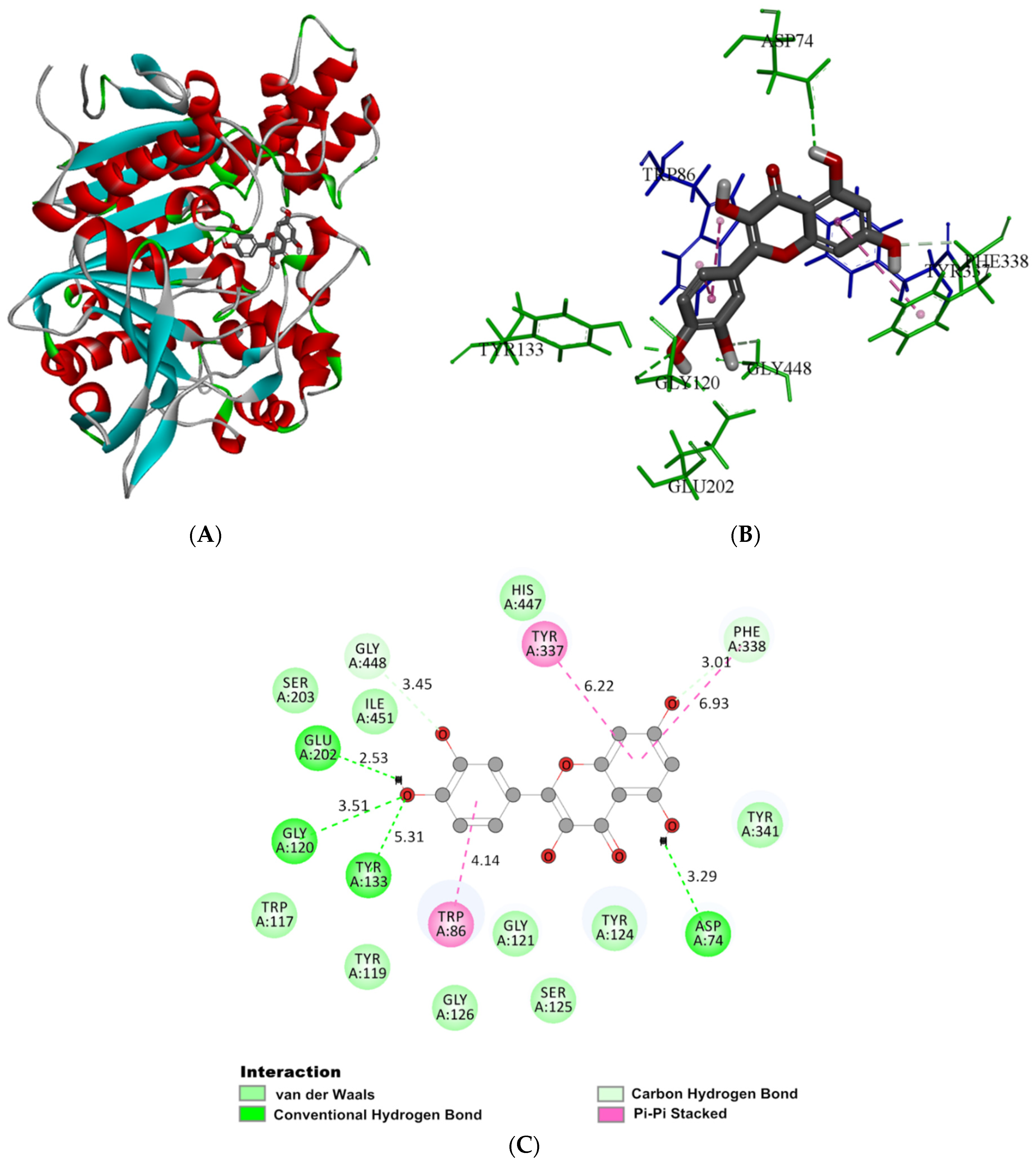 Molecules 27 07971 g004