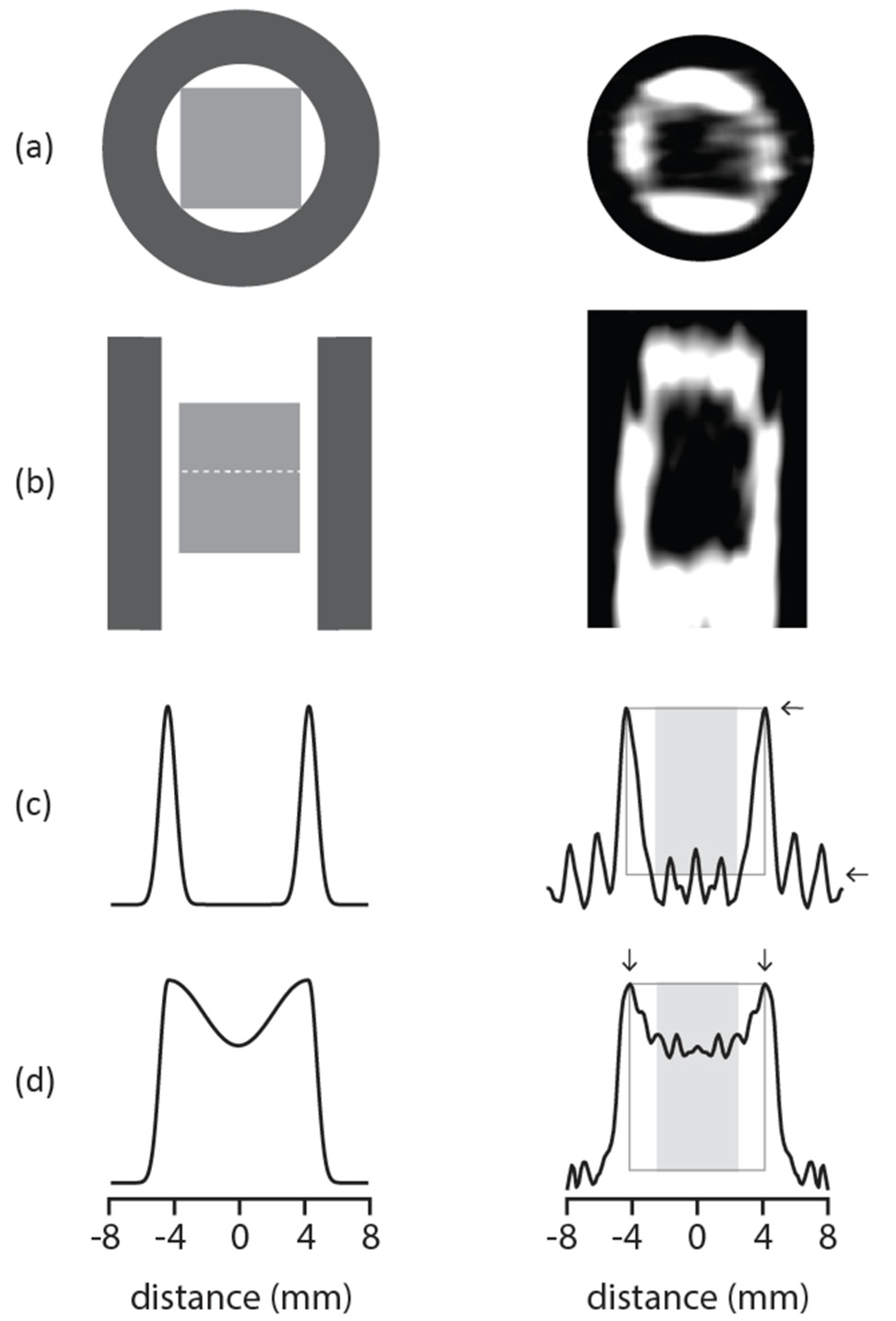 Molecules 27 07972 g002 Molecules 27 07972 g002