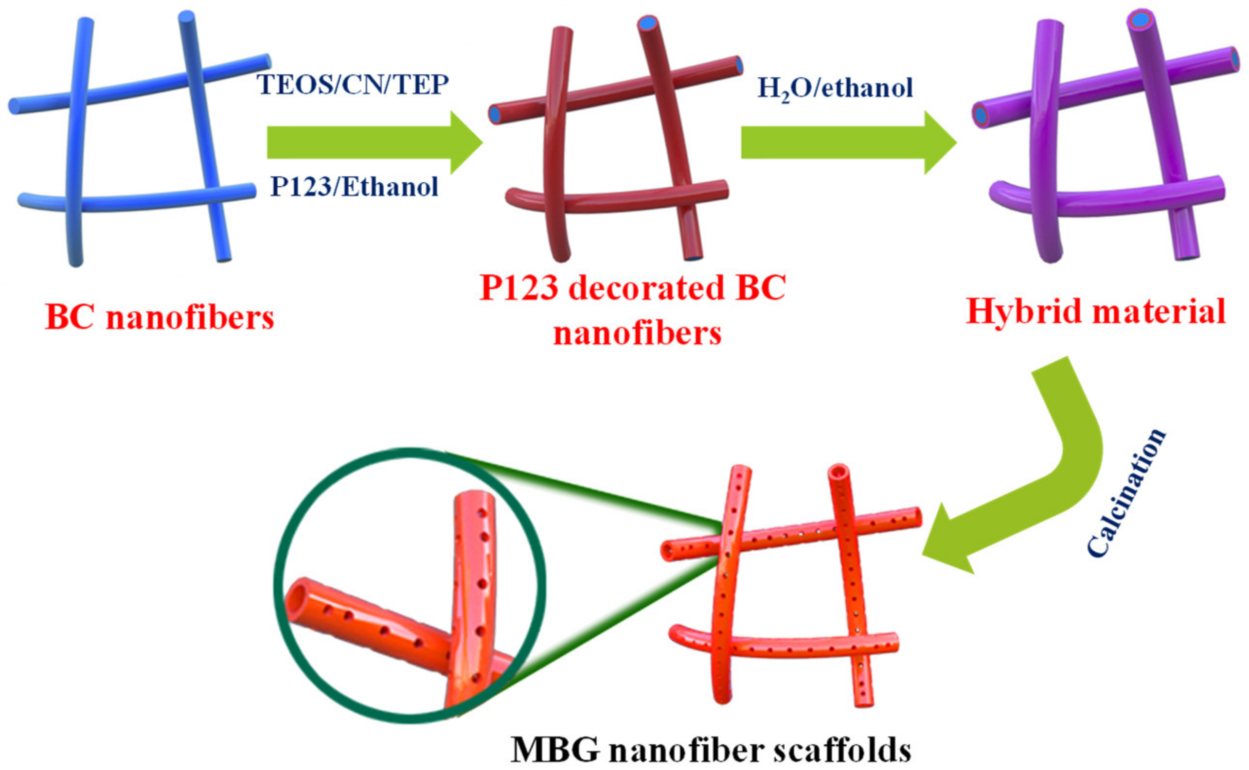Molecules 27 07973 g001