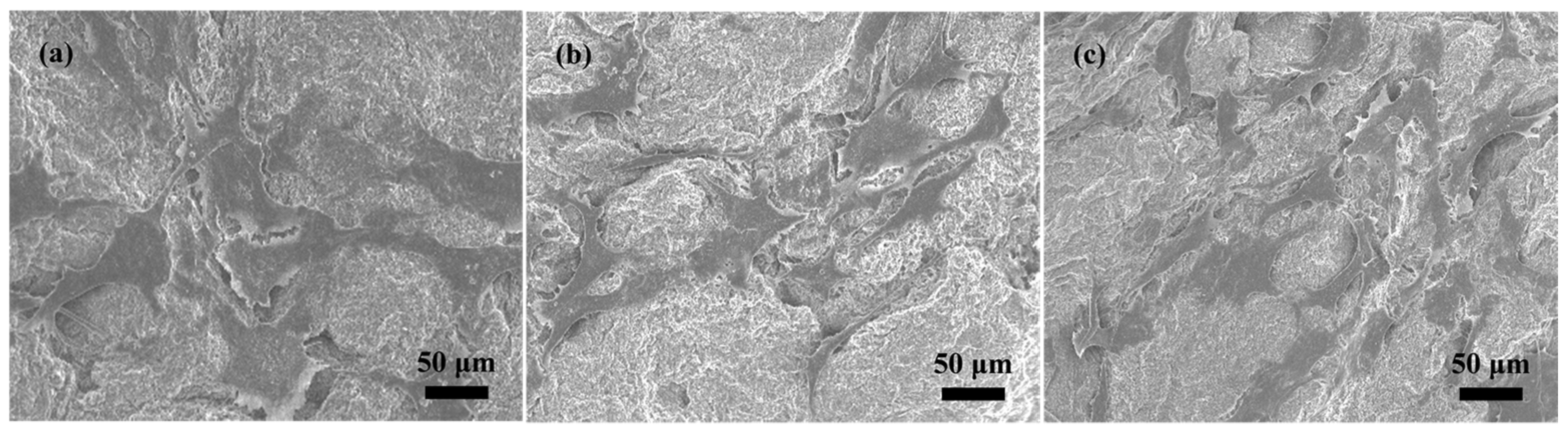 Molecules 27 07973 g009