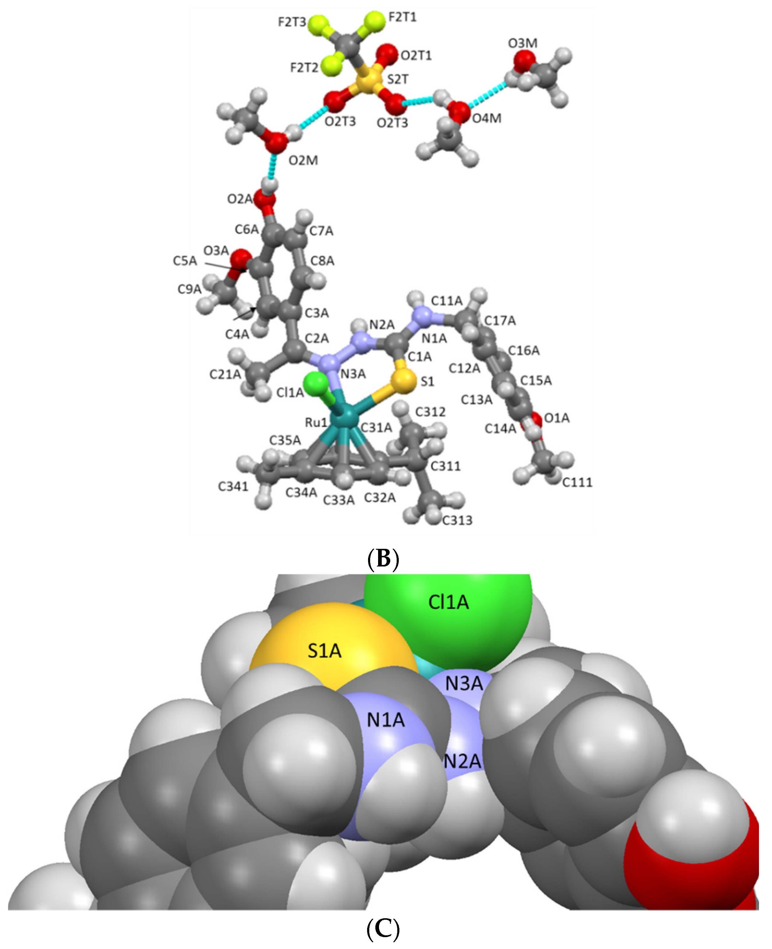 Molecules 27 07976 g002b