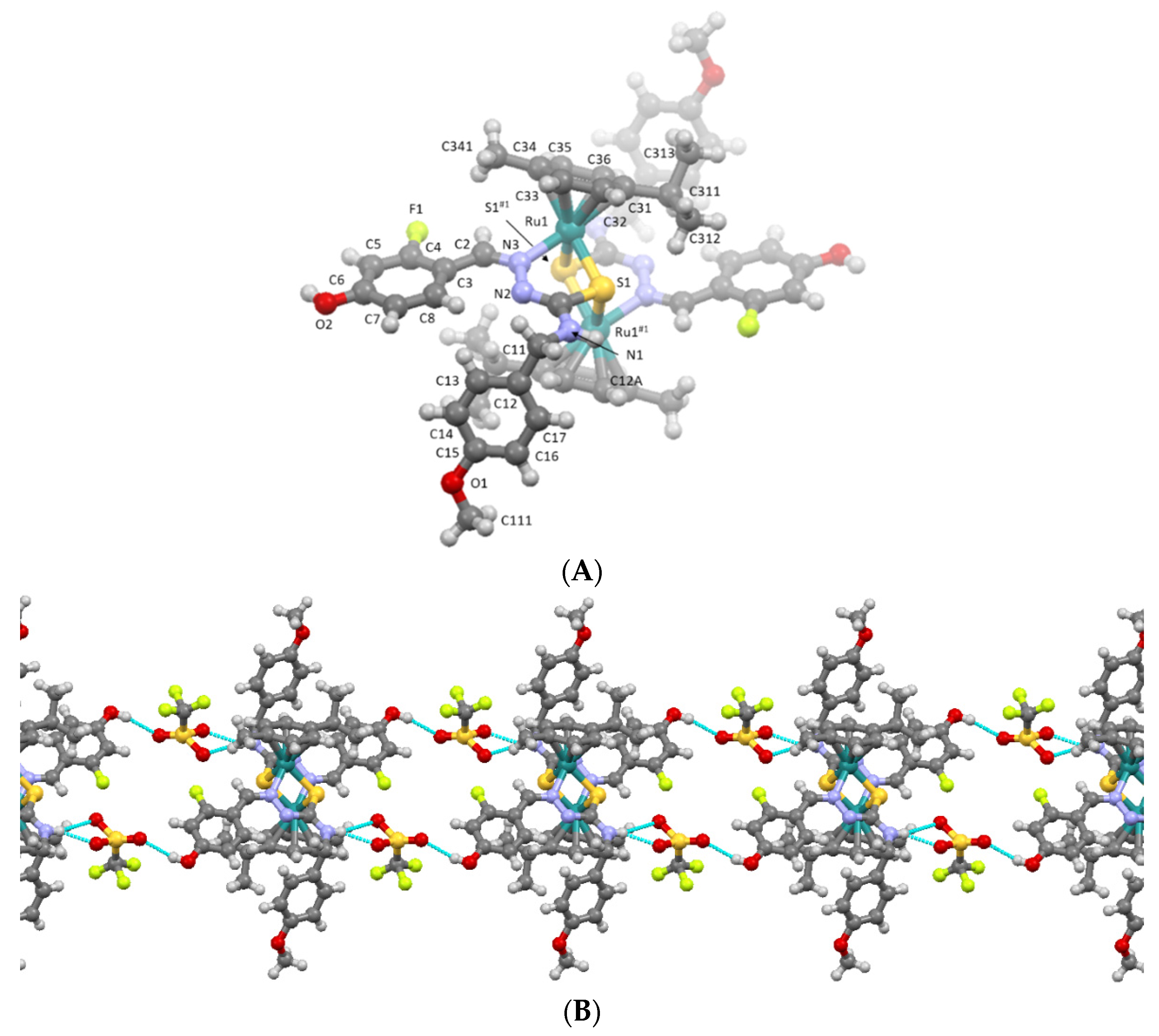 Molecules 27 07976 g004