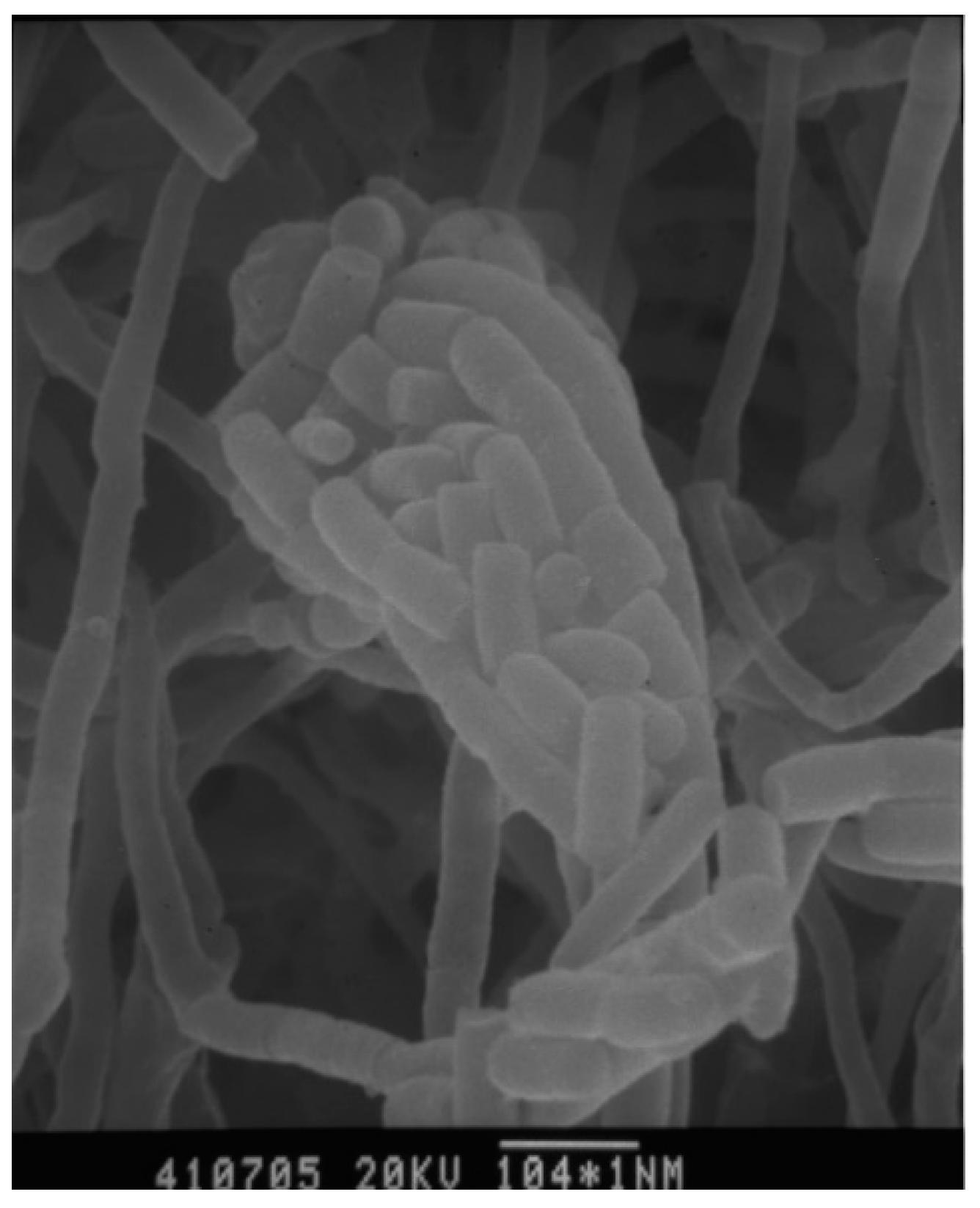 Molecules 27 07982 g002 Molecules 27 07982 g002