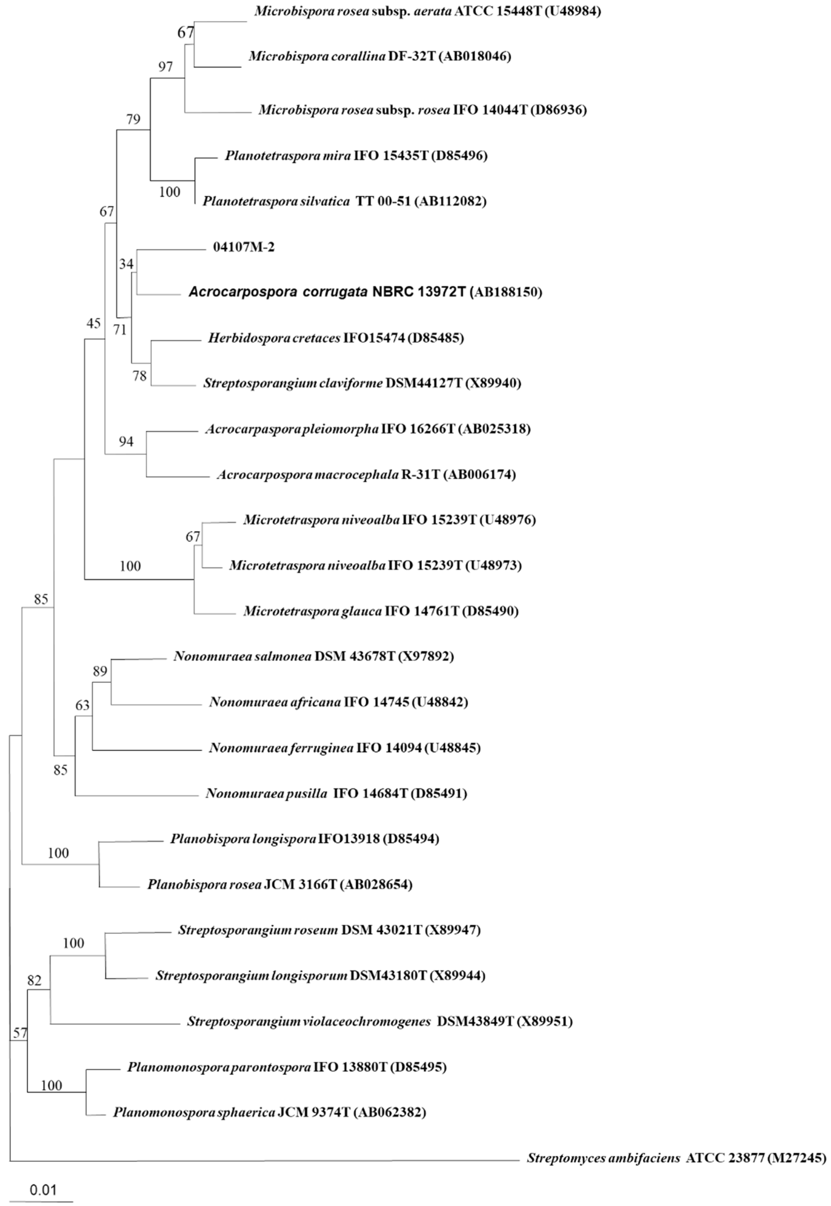 Molecules 27 07982 g003 Molecules 27 07982 g003