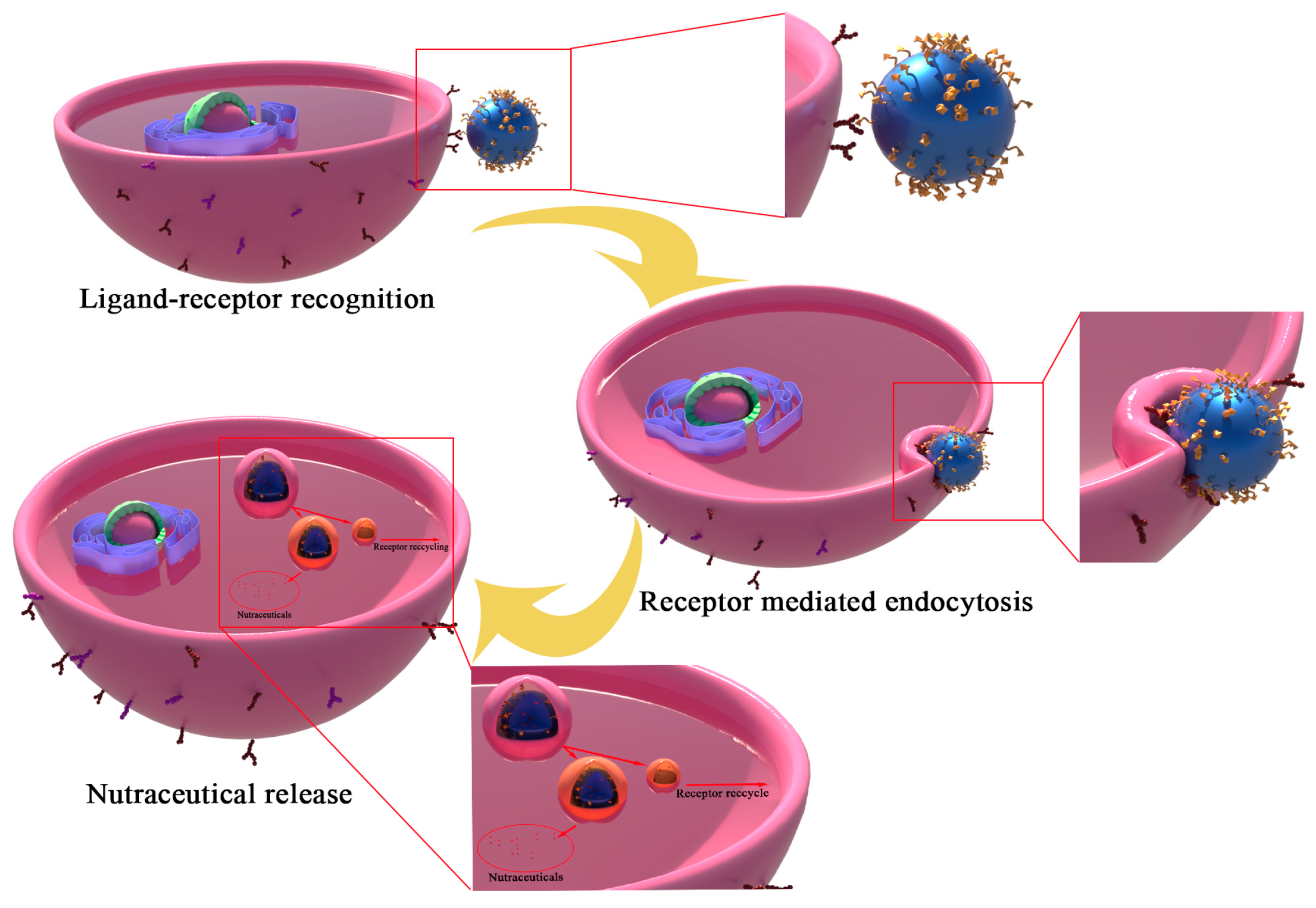 Molecules 27 07991 g003