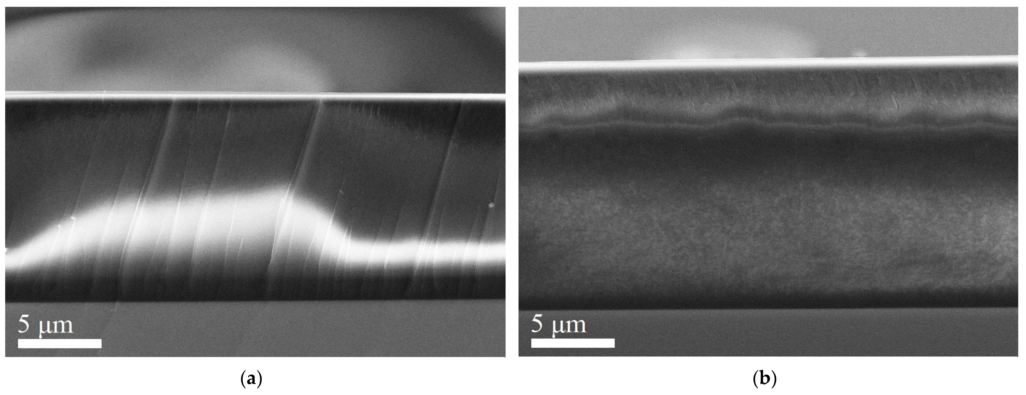 Molecules 27 08000 g004a