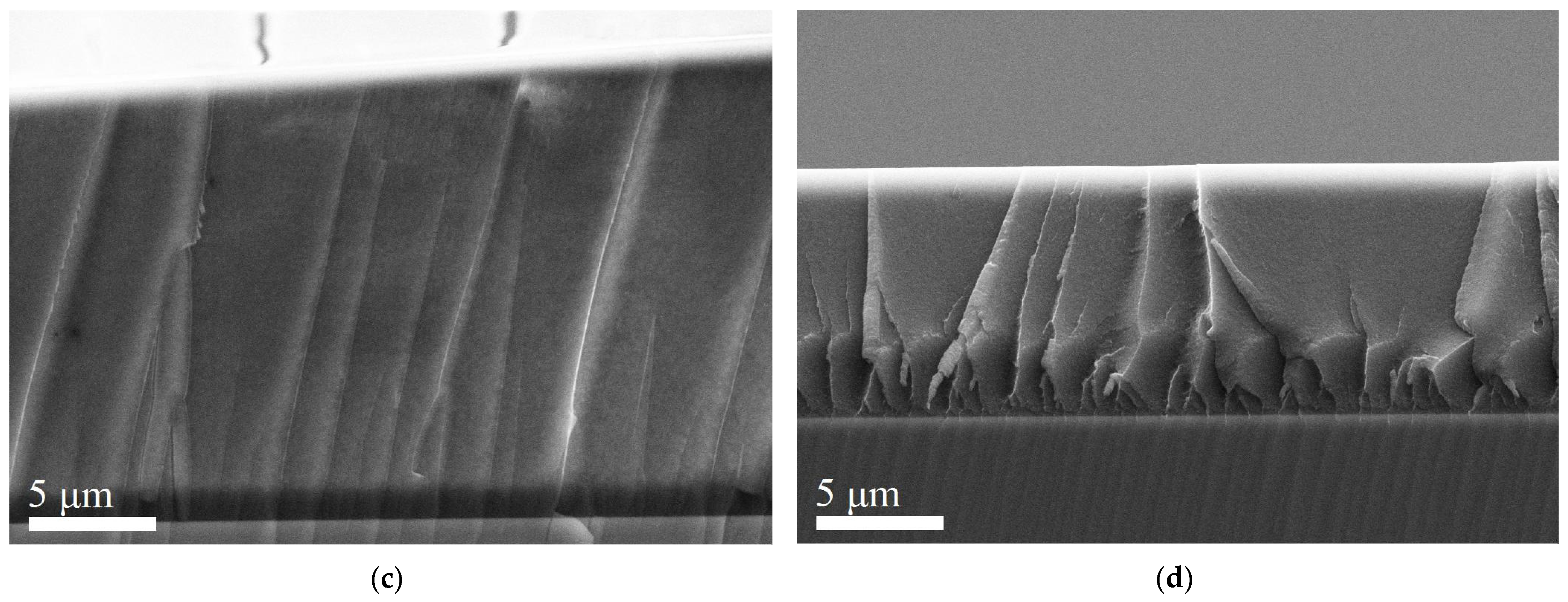 Molecules 27 08000 g004b