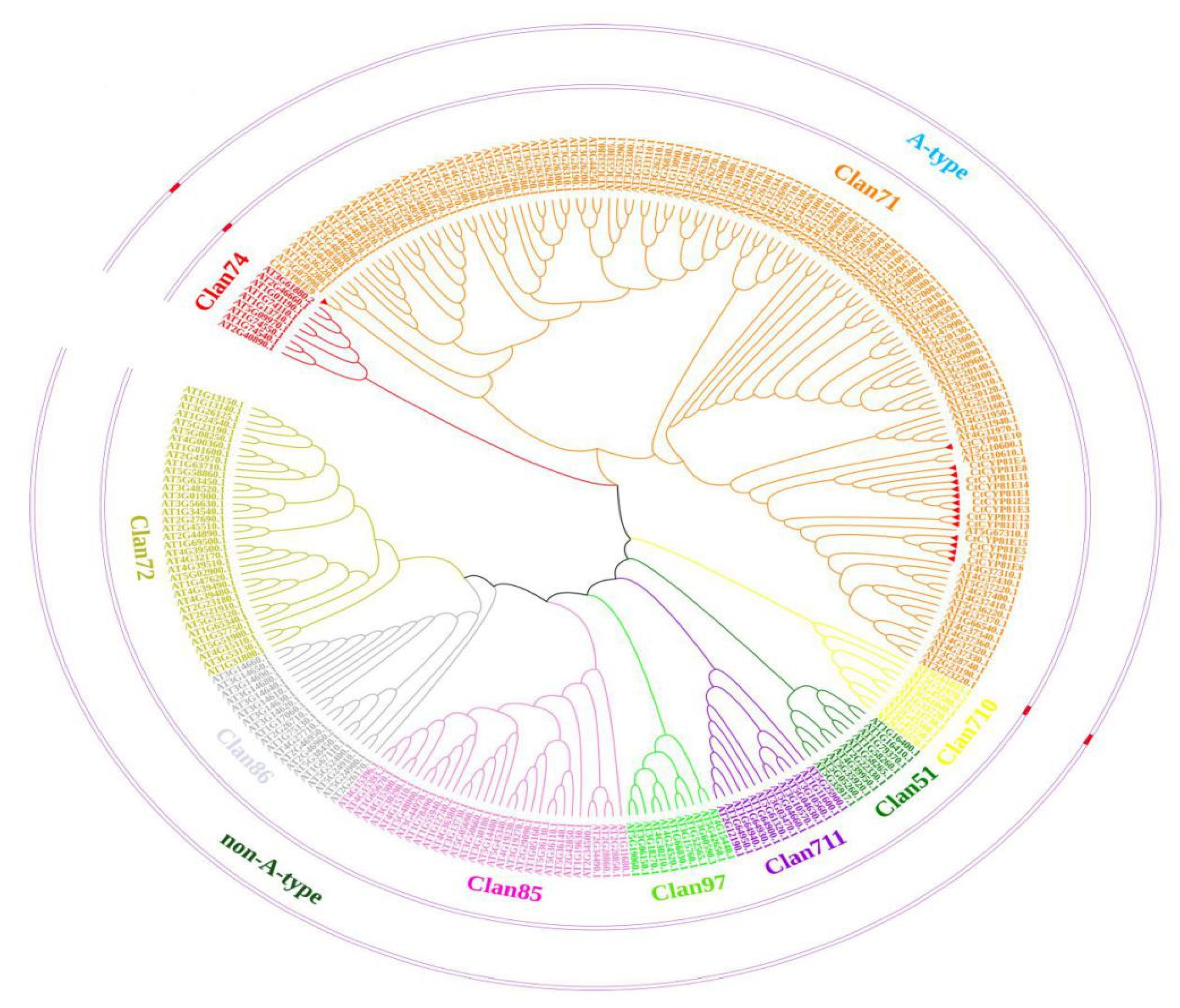 Molecules 27 08001 g001