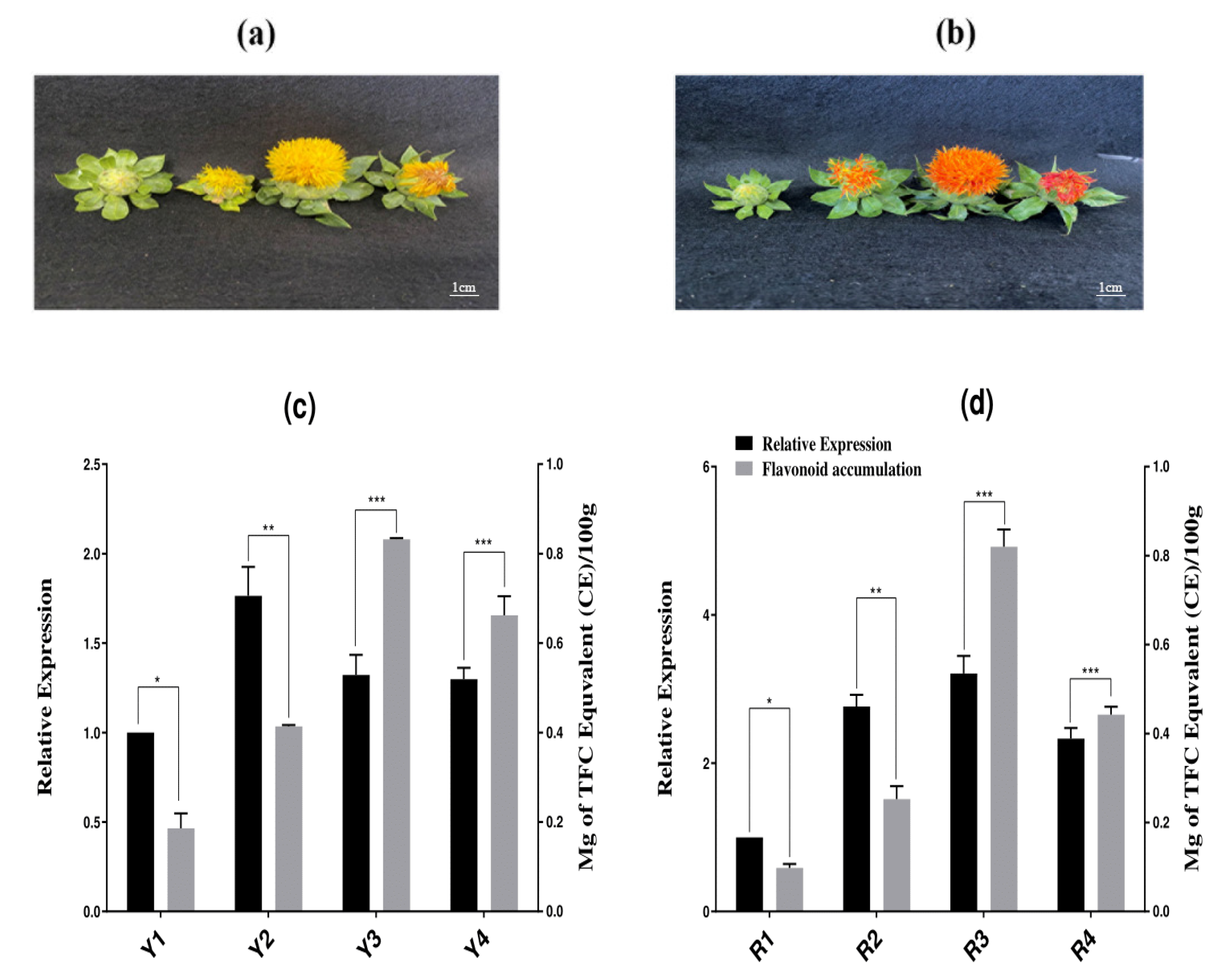 Molecules 27 08001 g006