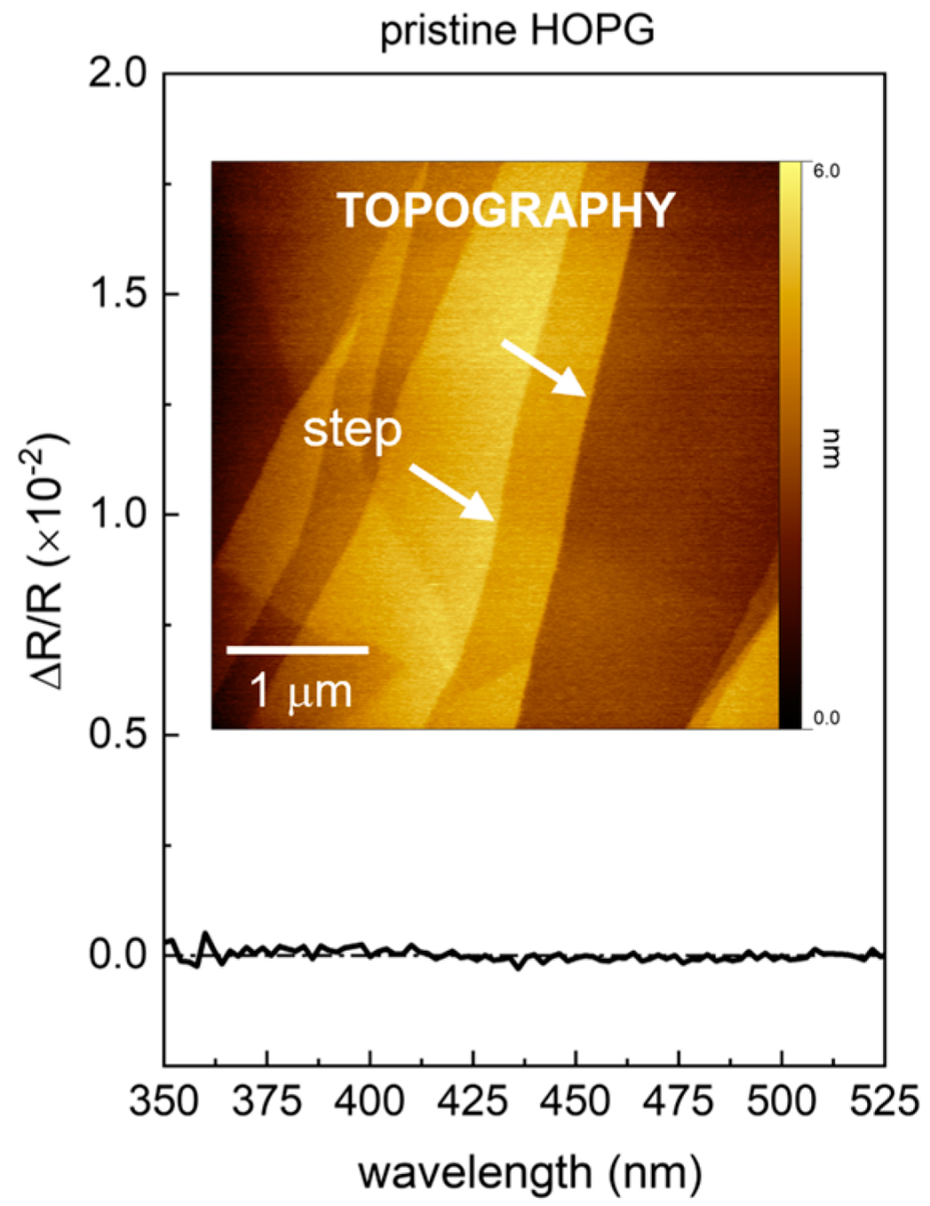 Molecules 27 08010 g001
