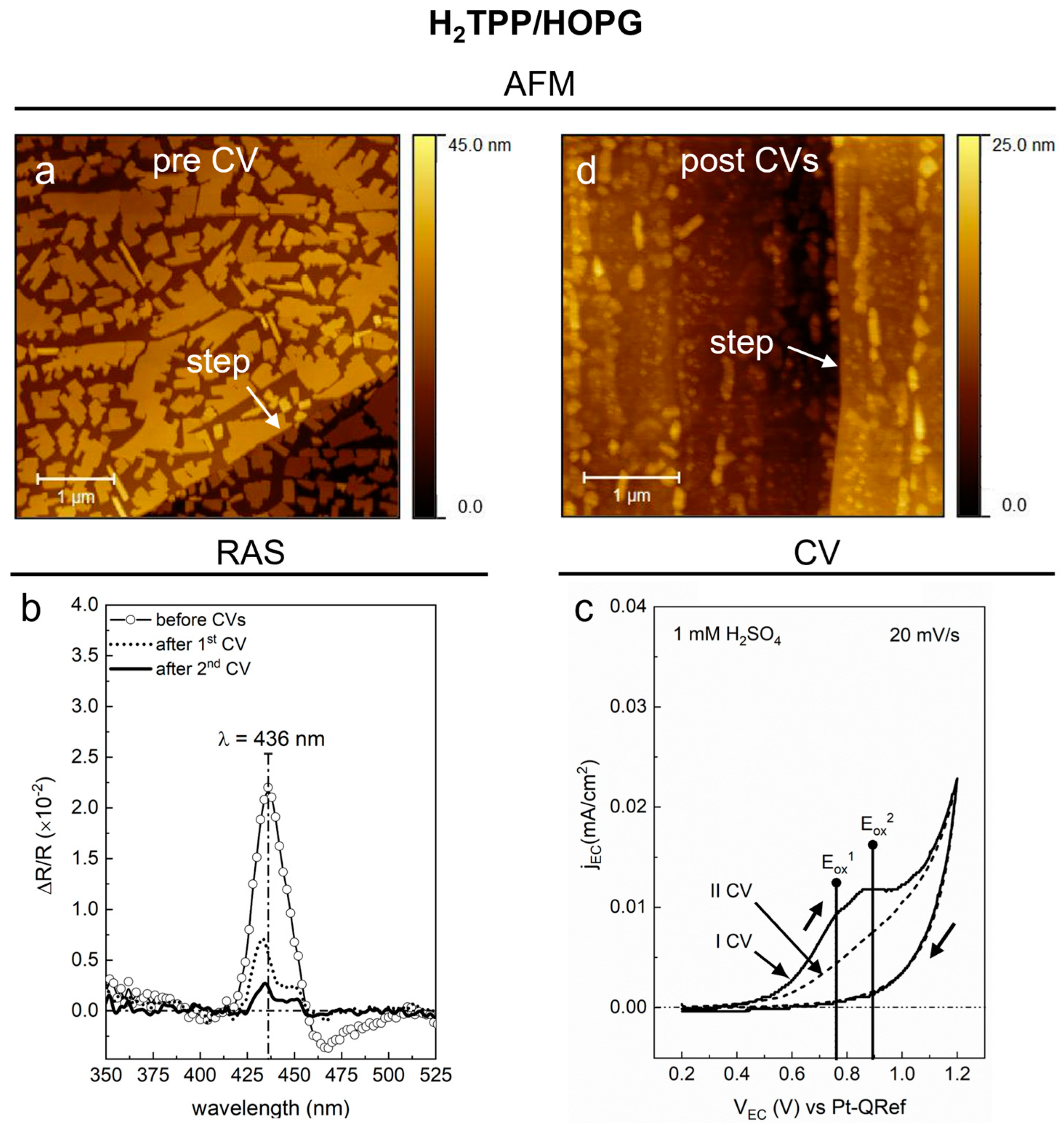 Molecules 27 08010 g003