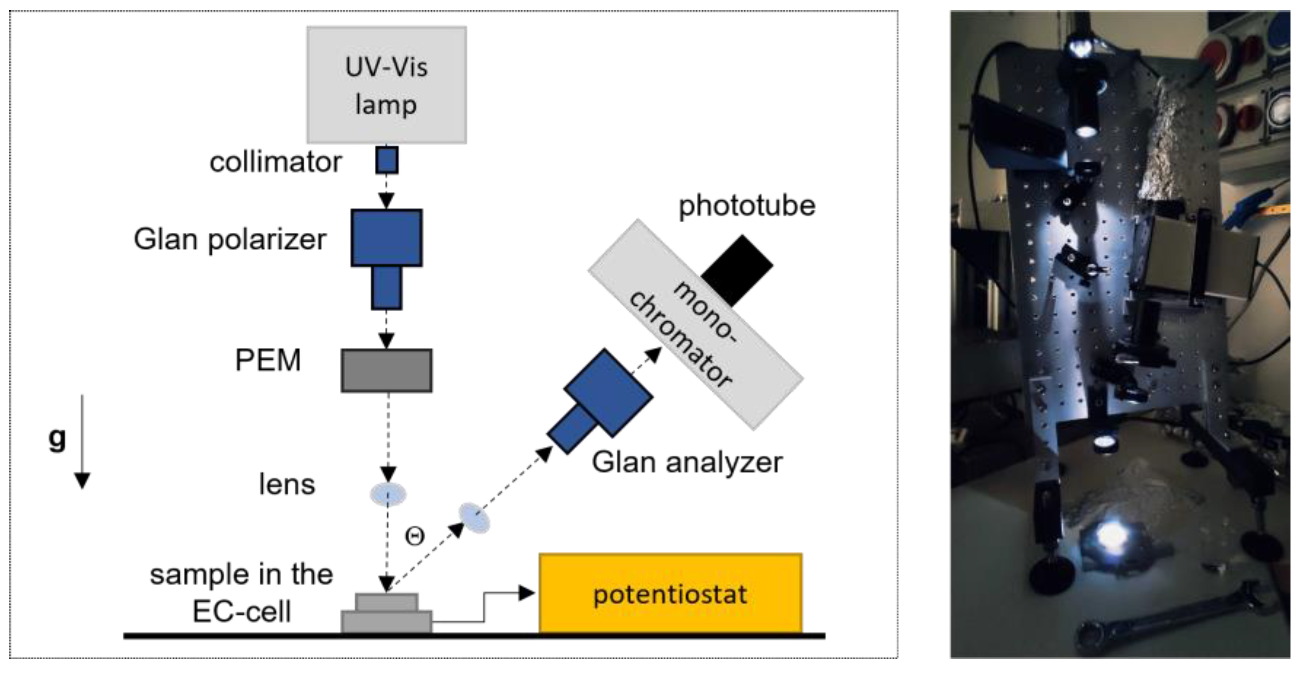 Molecules 27 08010 g005