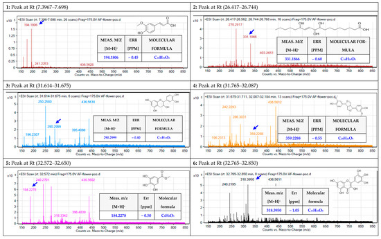 Molecules 27 08014 g006b