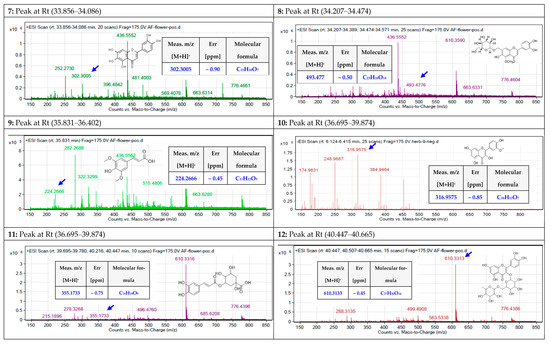 Molecules 27 08014 g006c