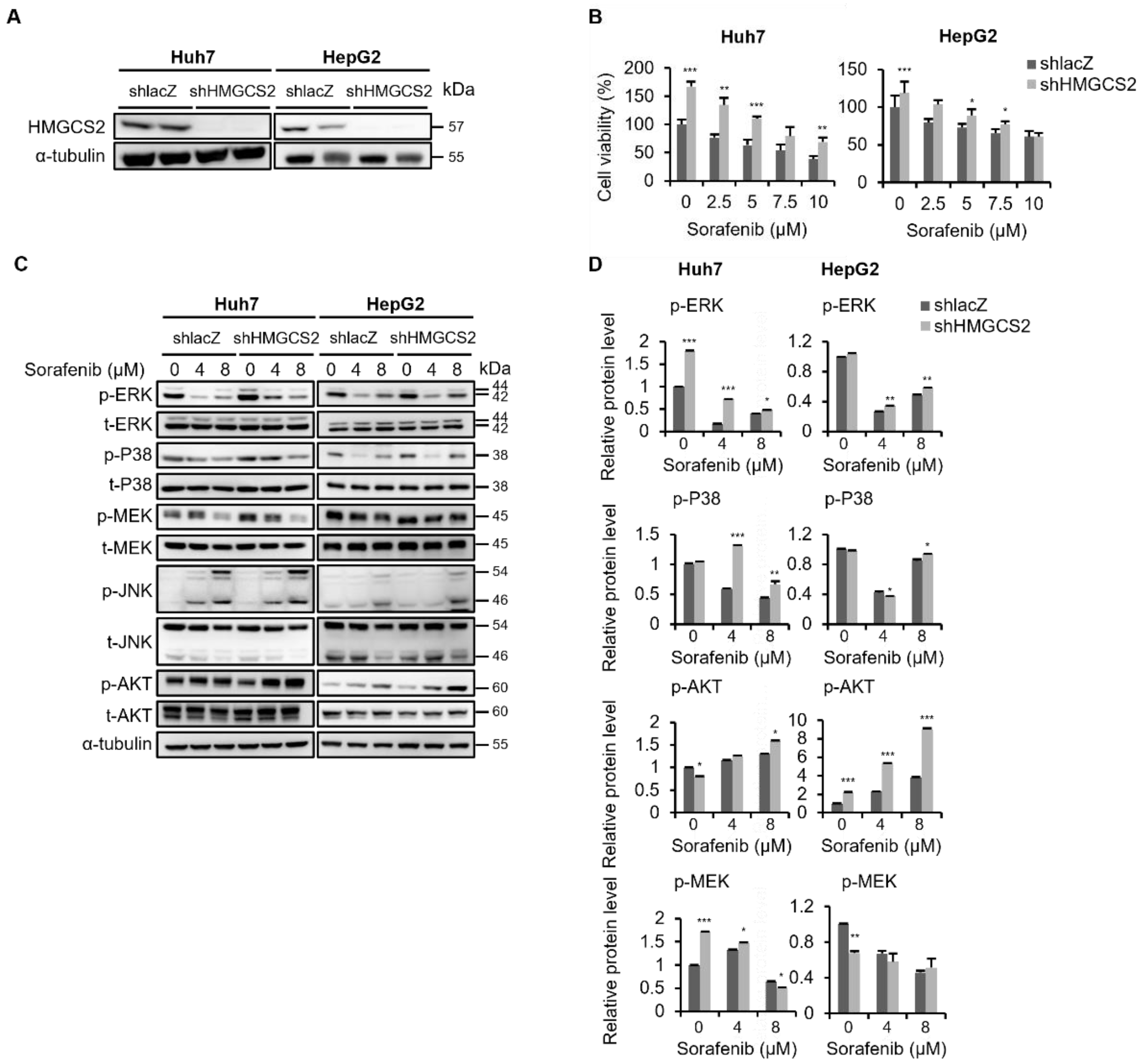 Molecules 27 08015 g001 Molecules 27 08015 g001