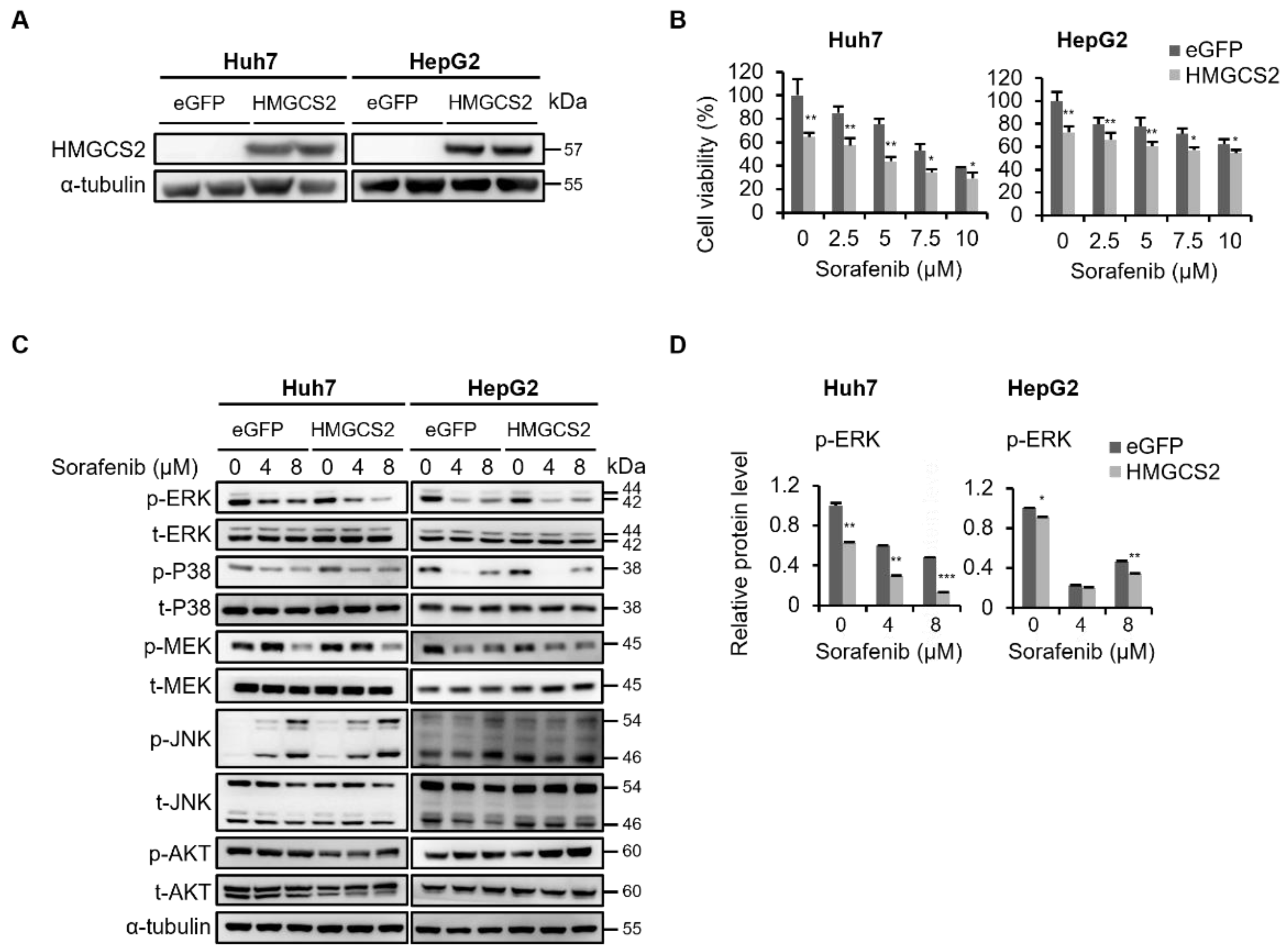 Molecules 27 08015 g002 Molecules 27 08015 g002