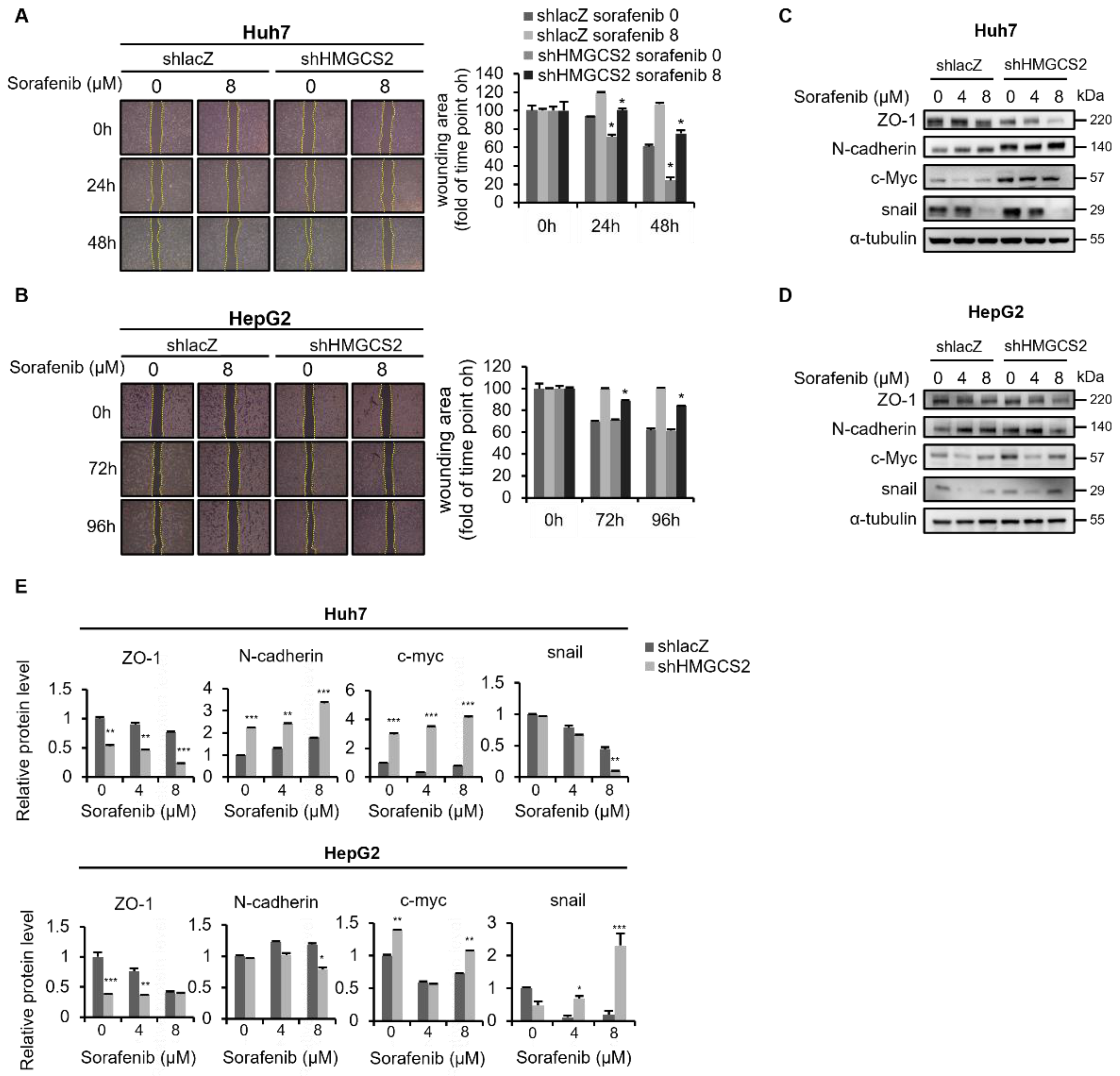 Molecules 27 08015 g003 Molecules 27 08015 g003