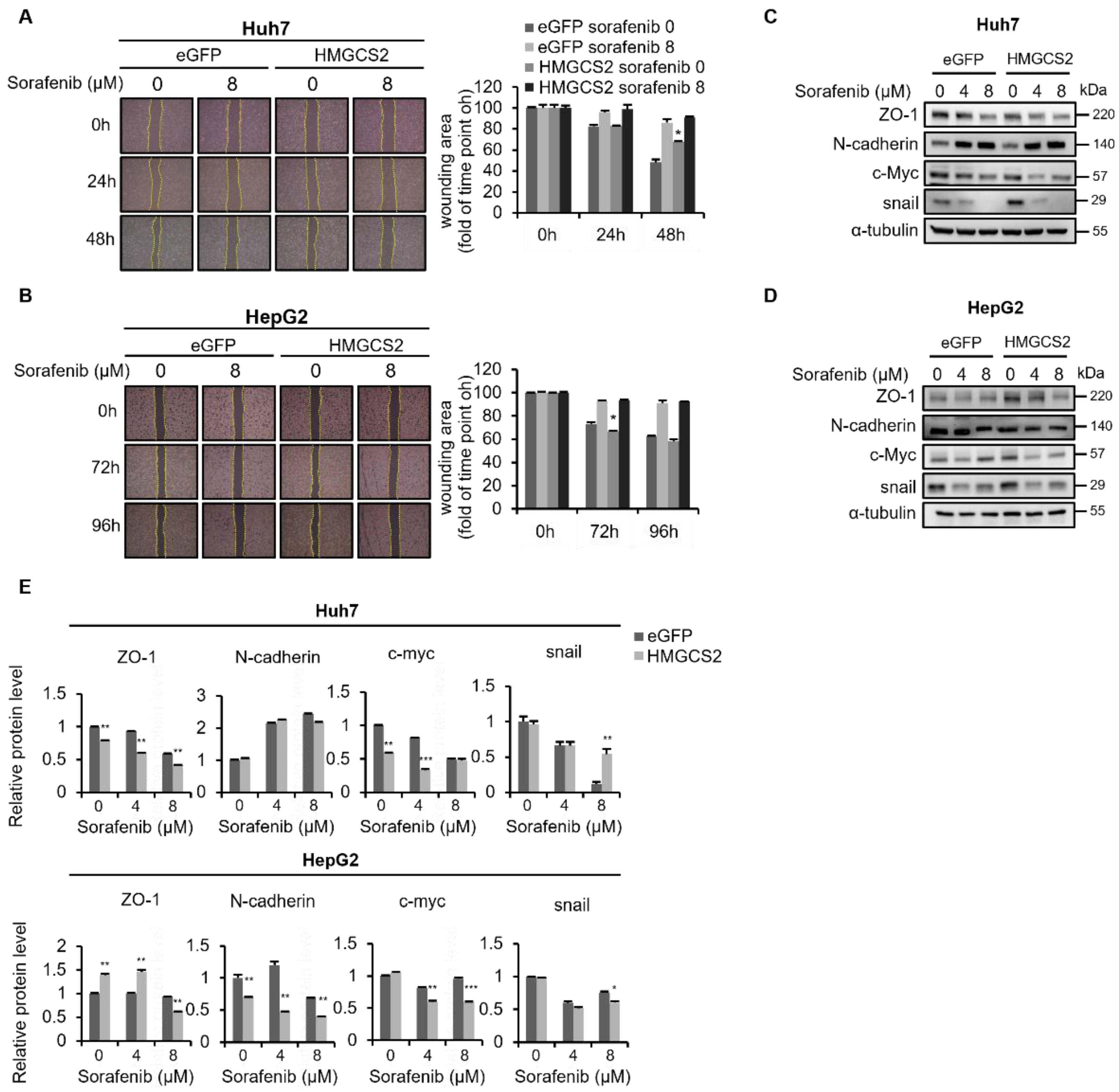 Molecules 27 08015 g004 Molecules 27 08015 g004