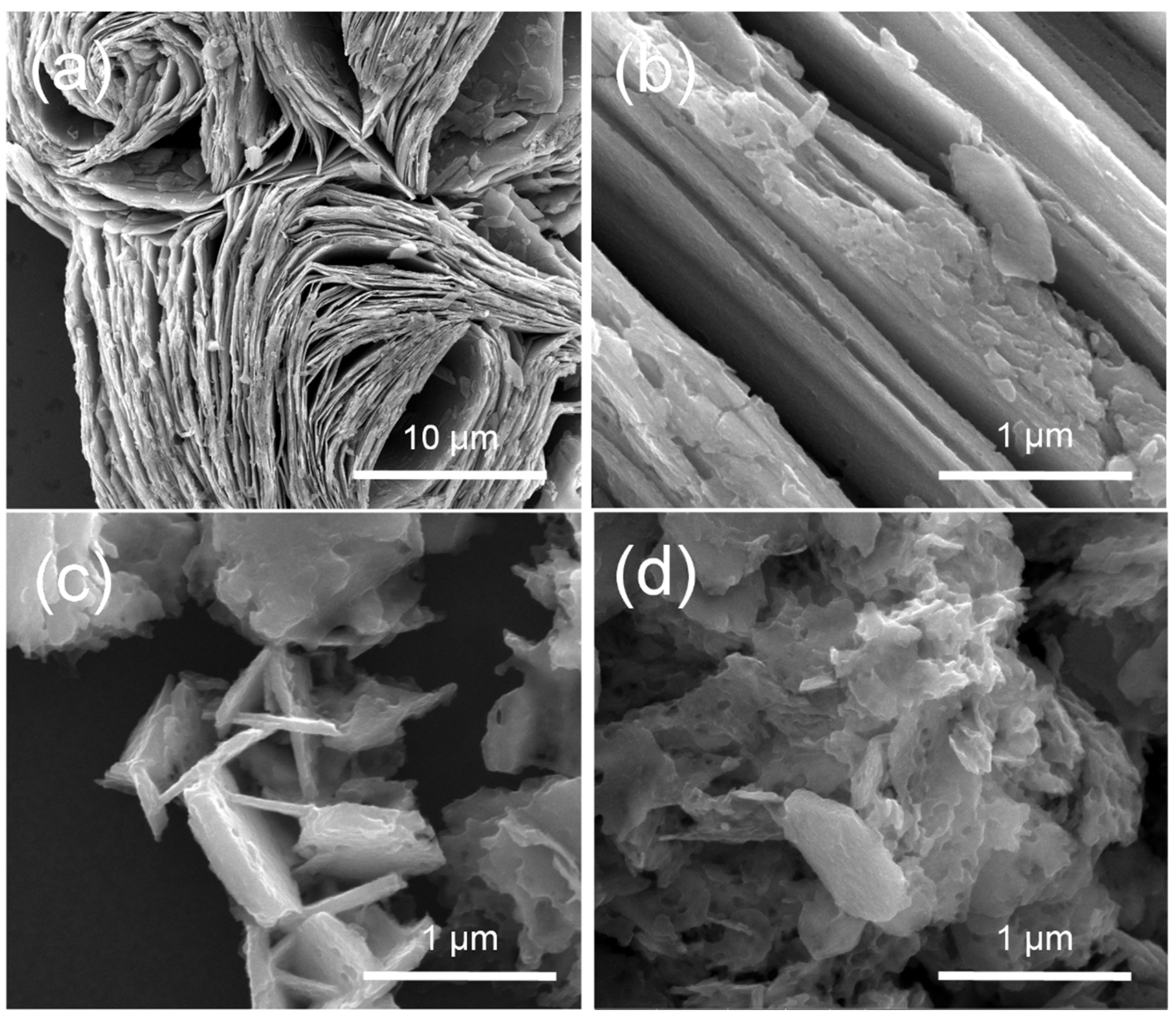 Molecules 27 08019 g003