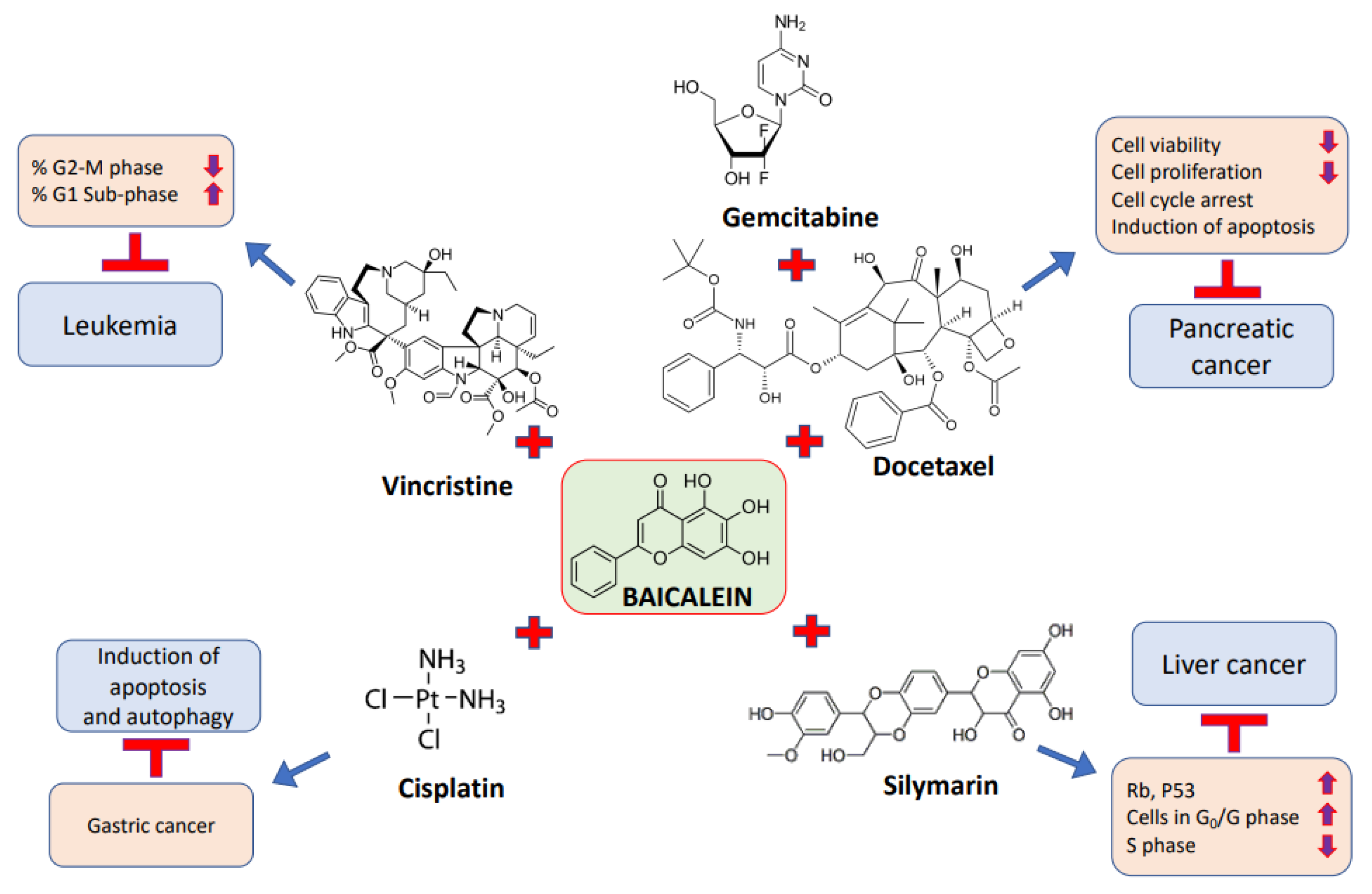 Molecules 27 08023 g004 Molecules 27 08023 g004