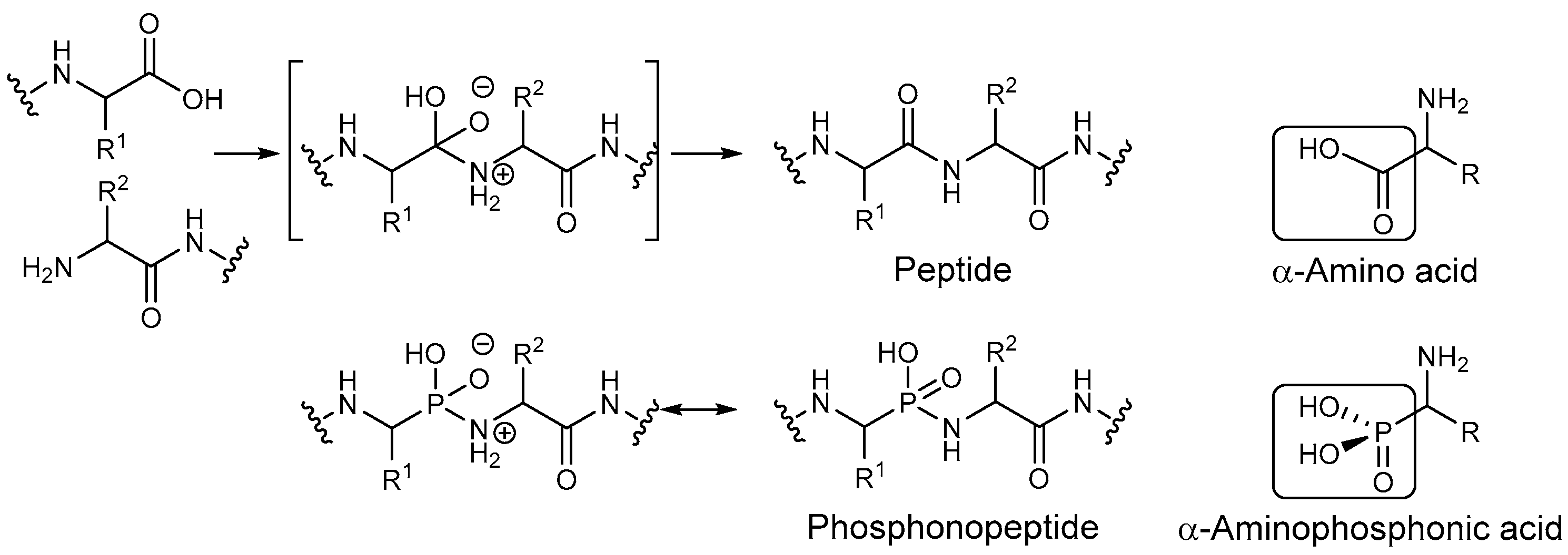 Molecules 27 08024 g001