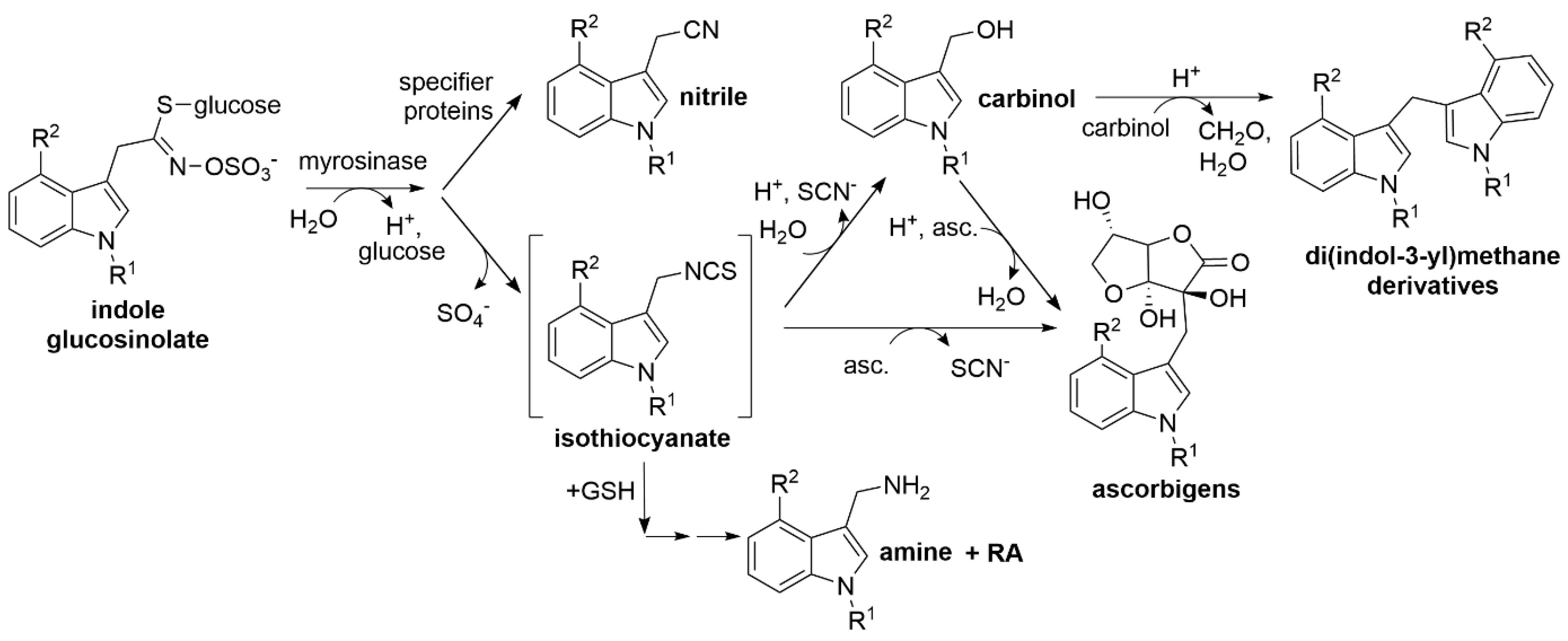 Molecules 27 08042 g001