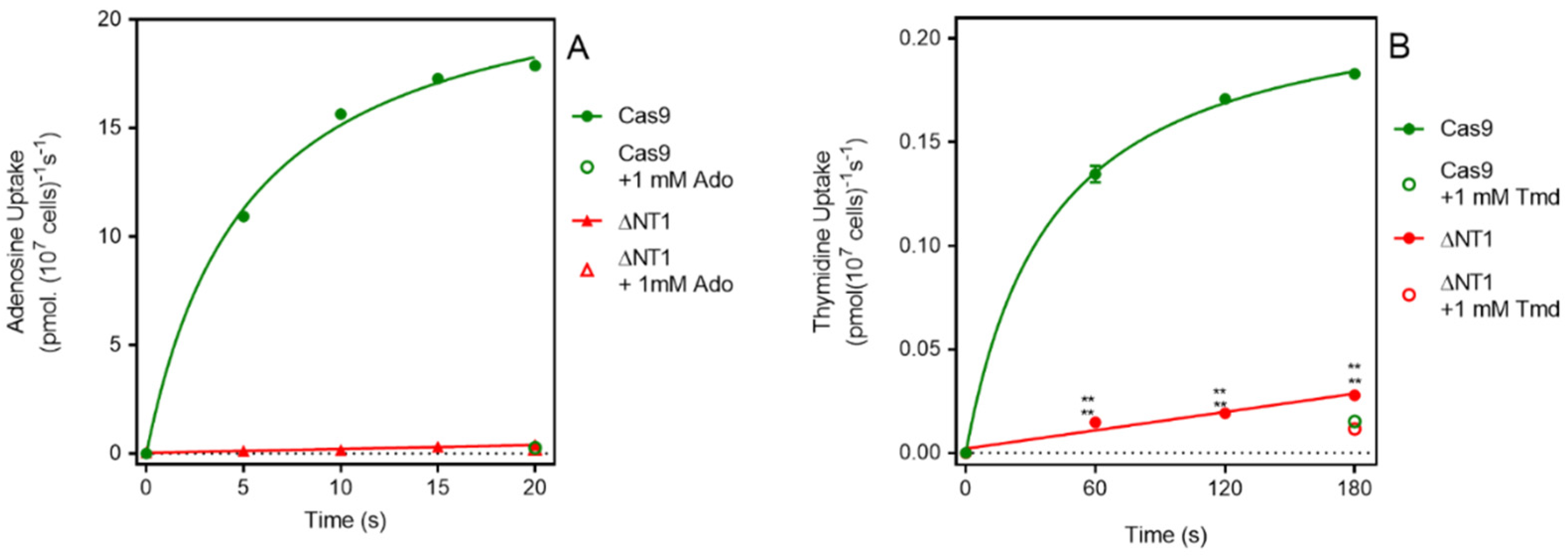 Molecules 27 08045 g001