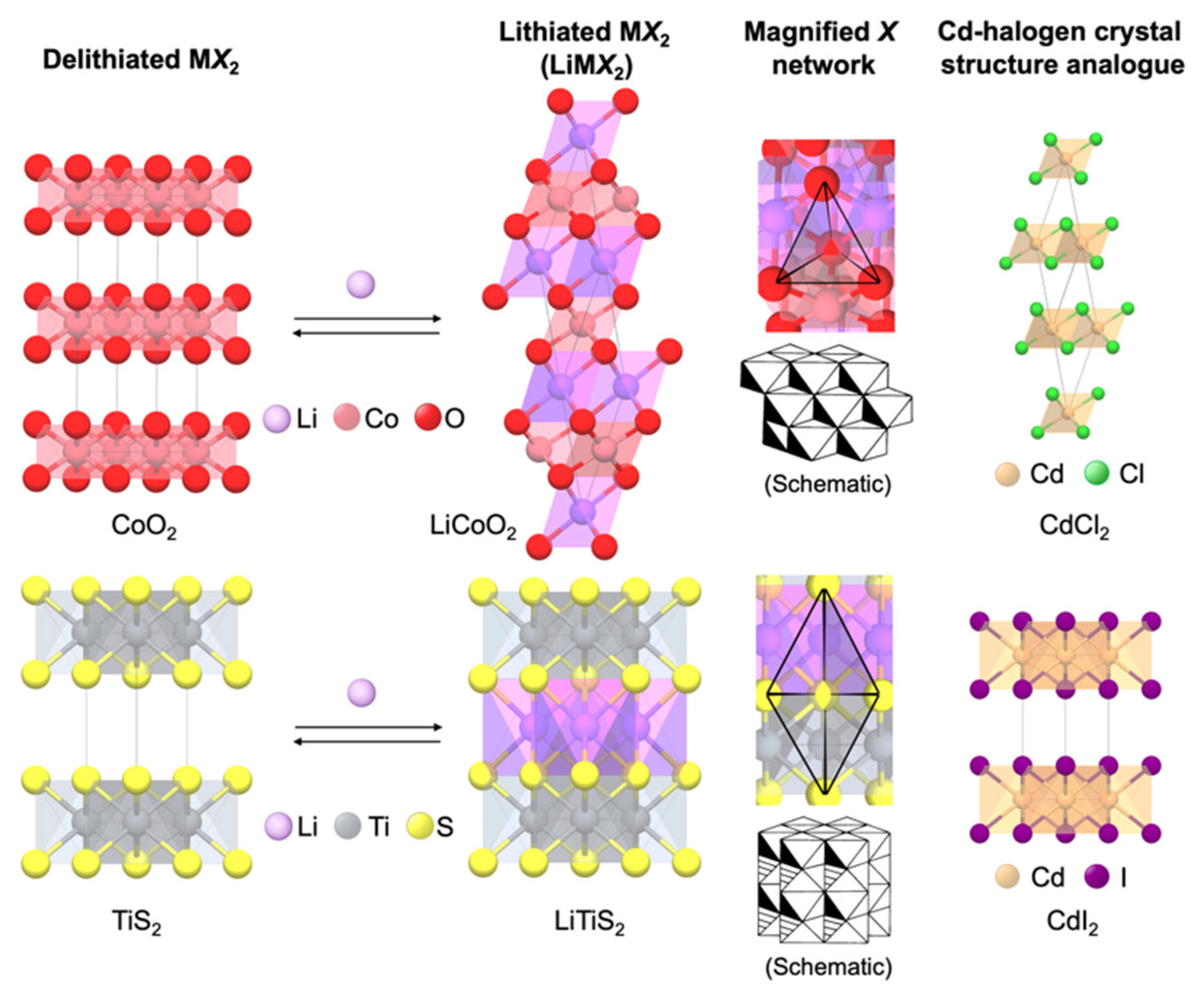 Molecules 27 08047 g003