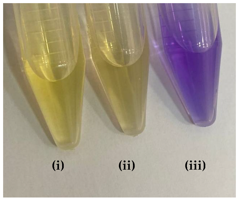 Molecules 27 08048 i002