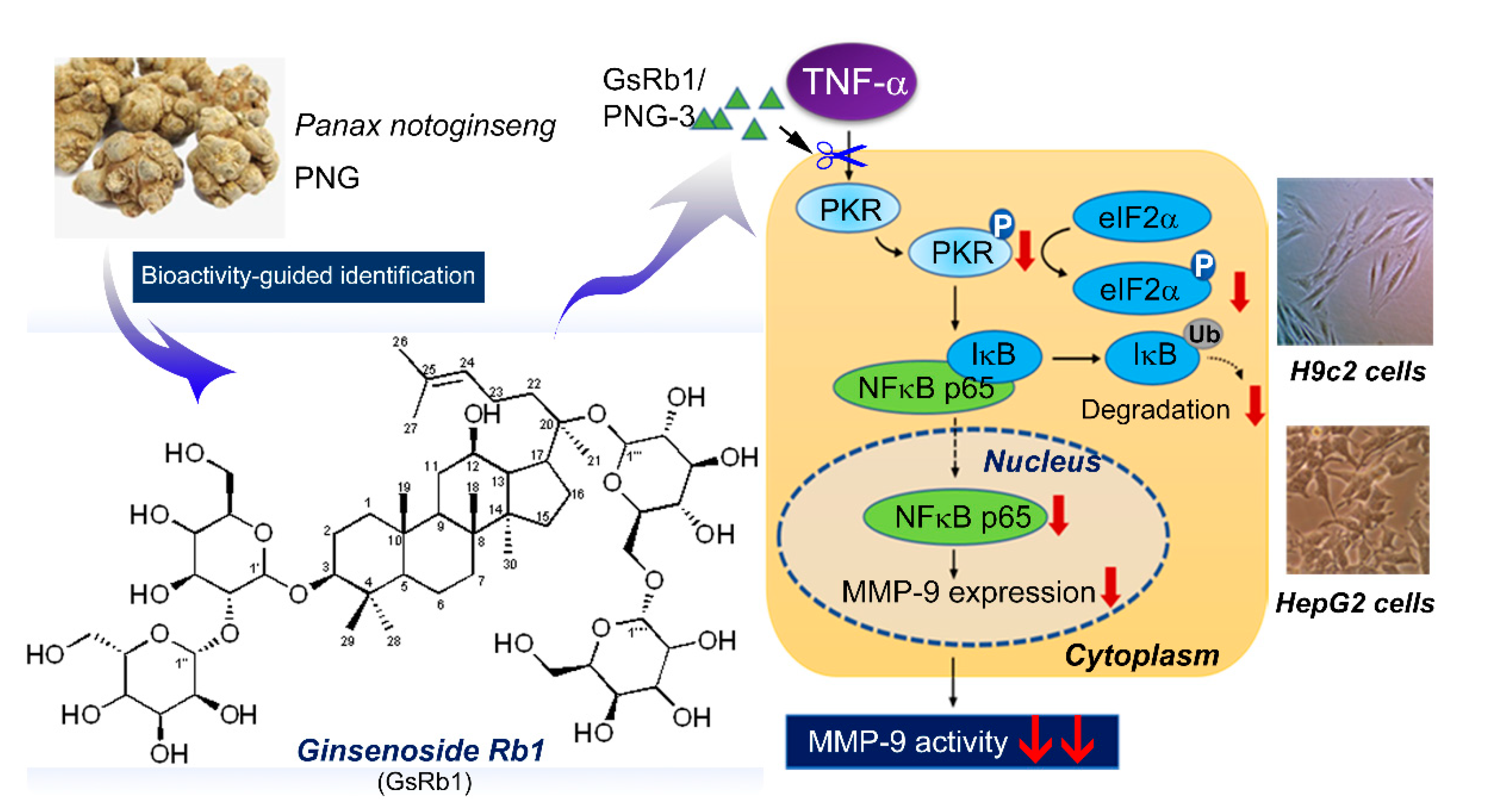 Molecules 27 08050 g001