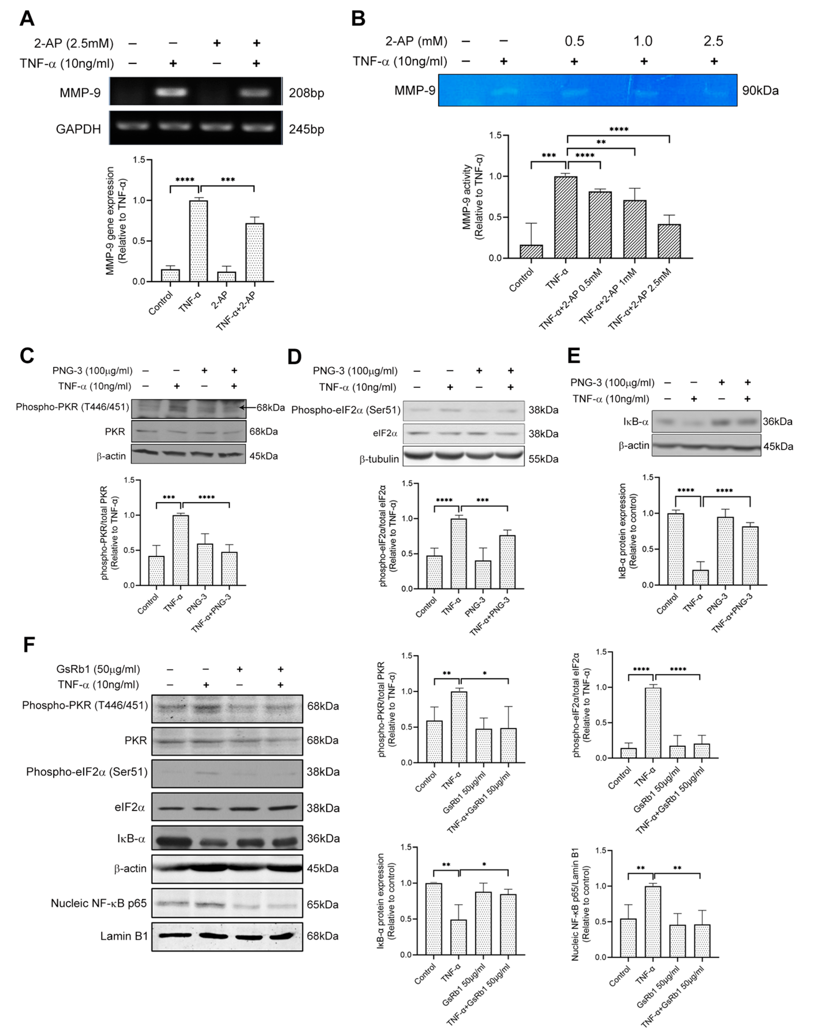 Molecules 27 08050 g006