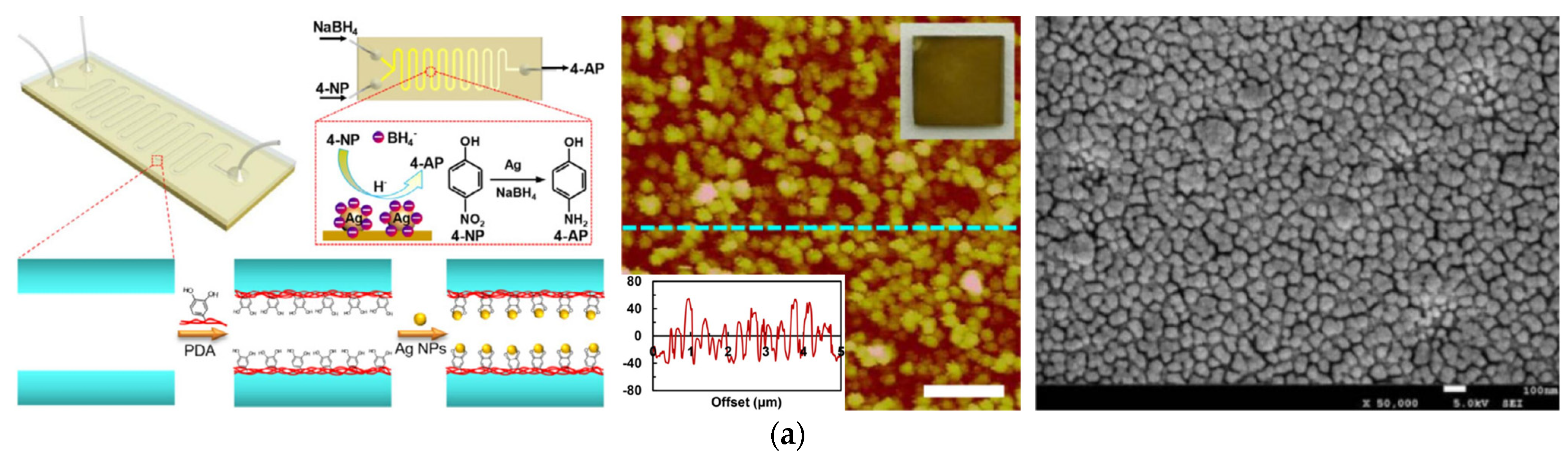 Molecules 27 08052 g005a