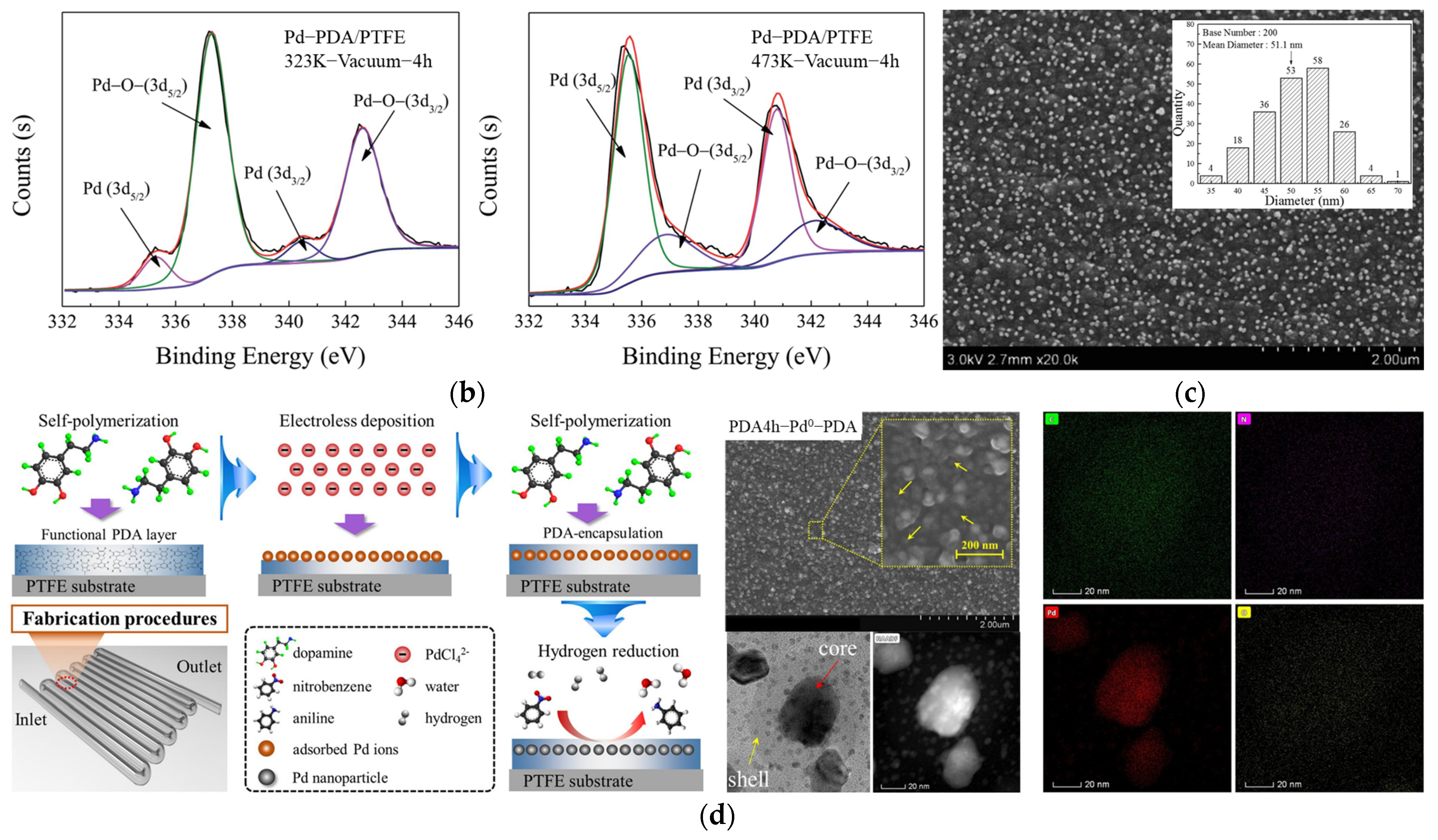 Molecules 27 08052 g005b