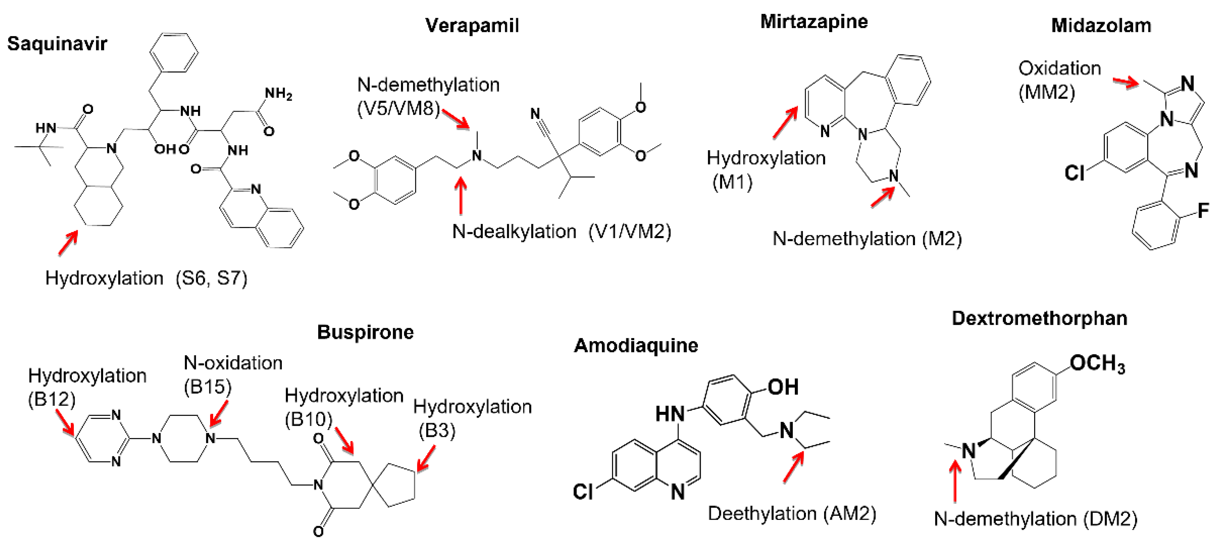 Molecules 27 08058 g001