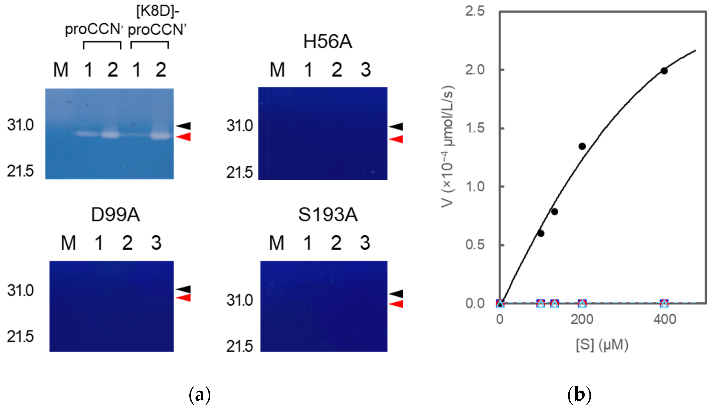 Molecules 27 08063 g008