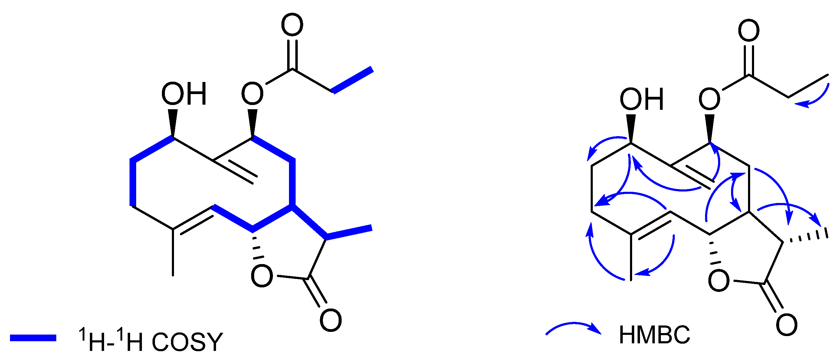 Molecules 27 08074 g004