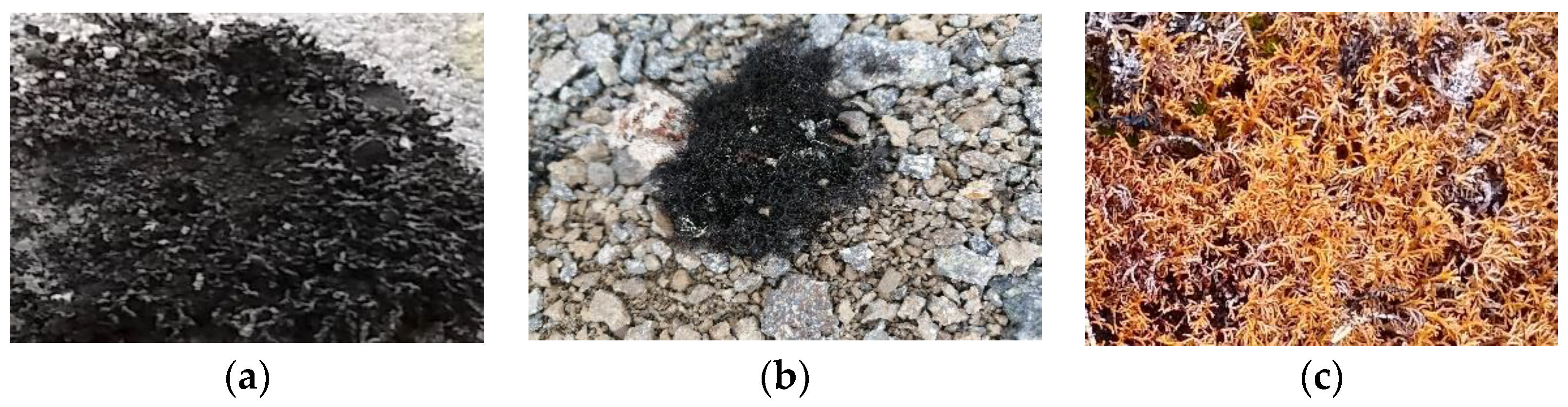 Molecules 27 08086 g001