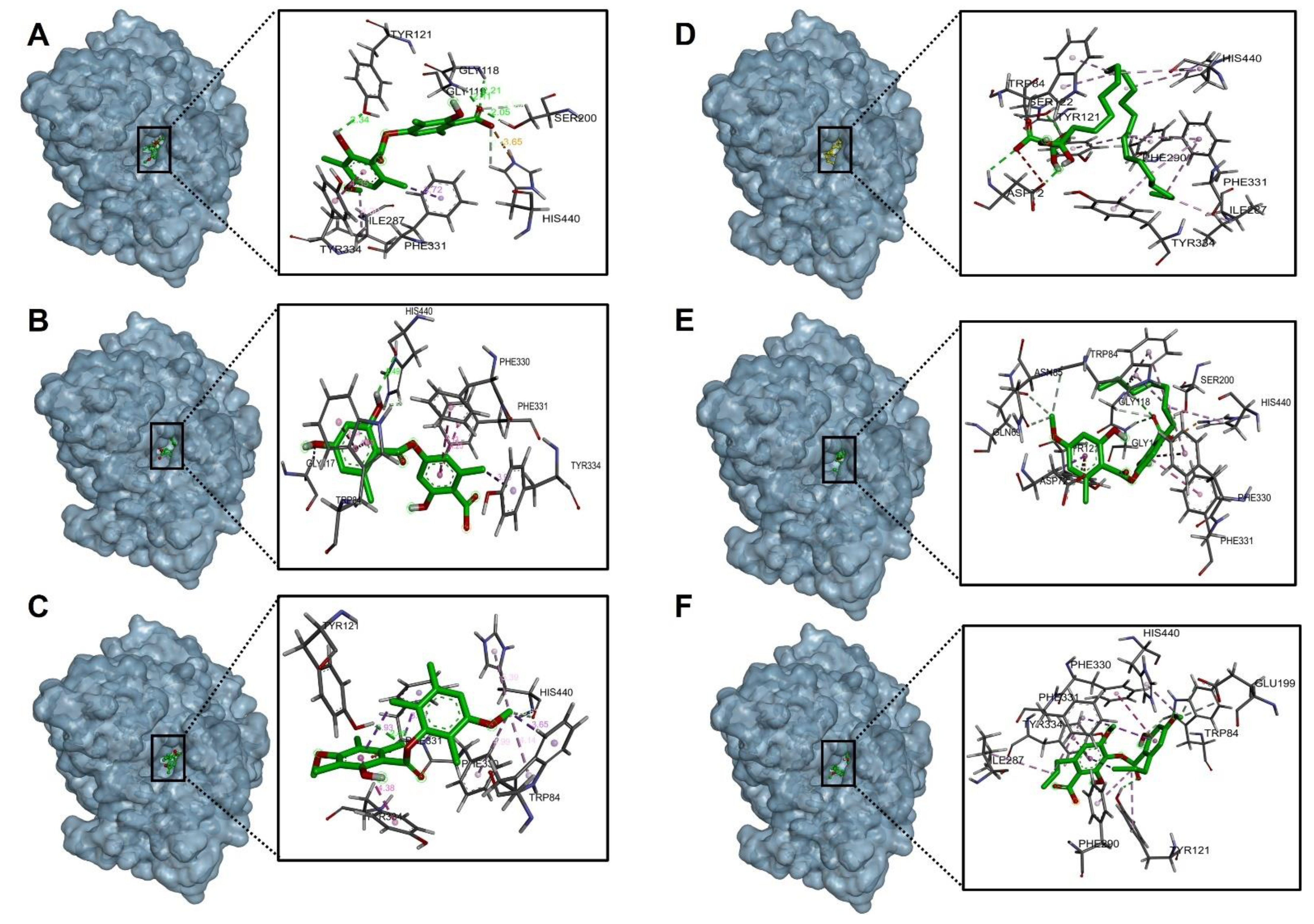 Molecules 27 08086 g003