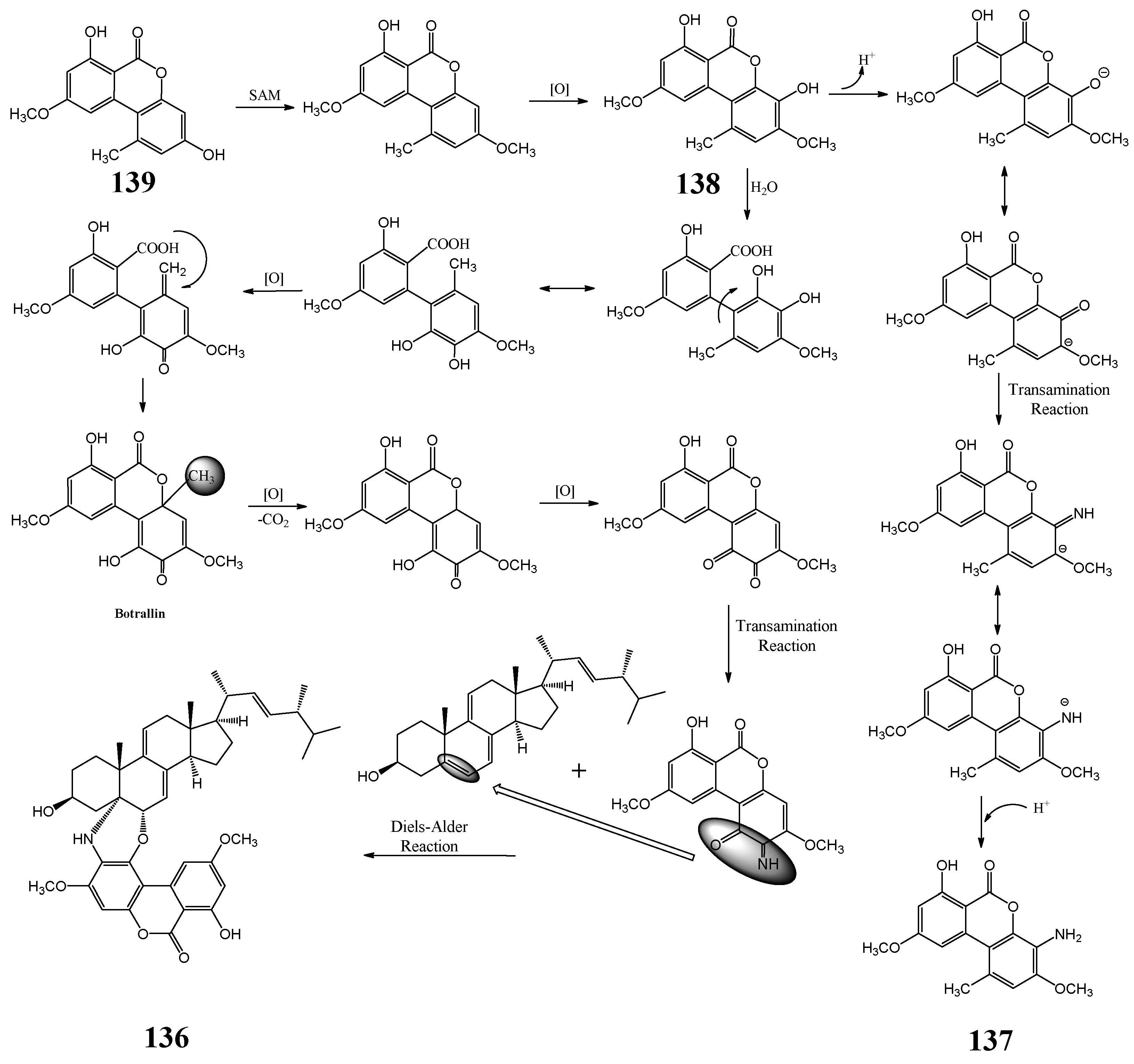 Molecules 27 08088 g004 Molecules 27 08088 g004