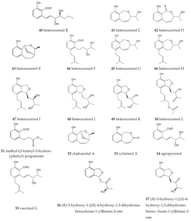 Molecules 27 08088 i006 Molecules 27 08088 i006