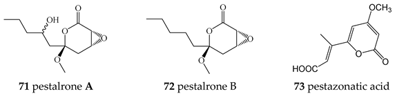 Molecules 27 08088 i010 Molecules 27 08088 i010