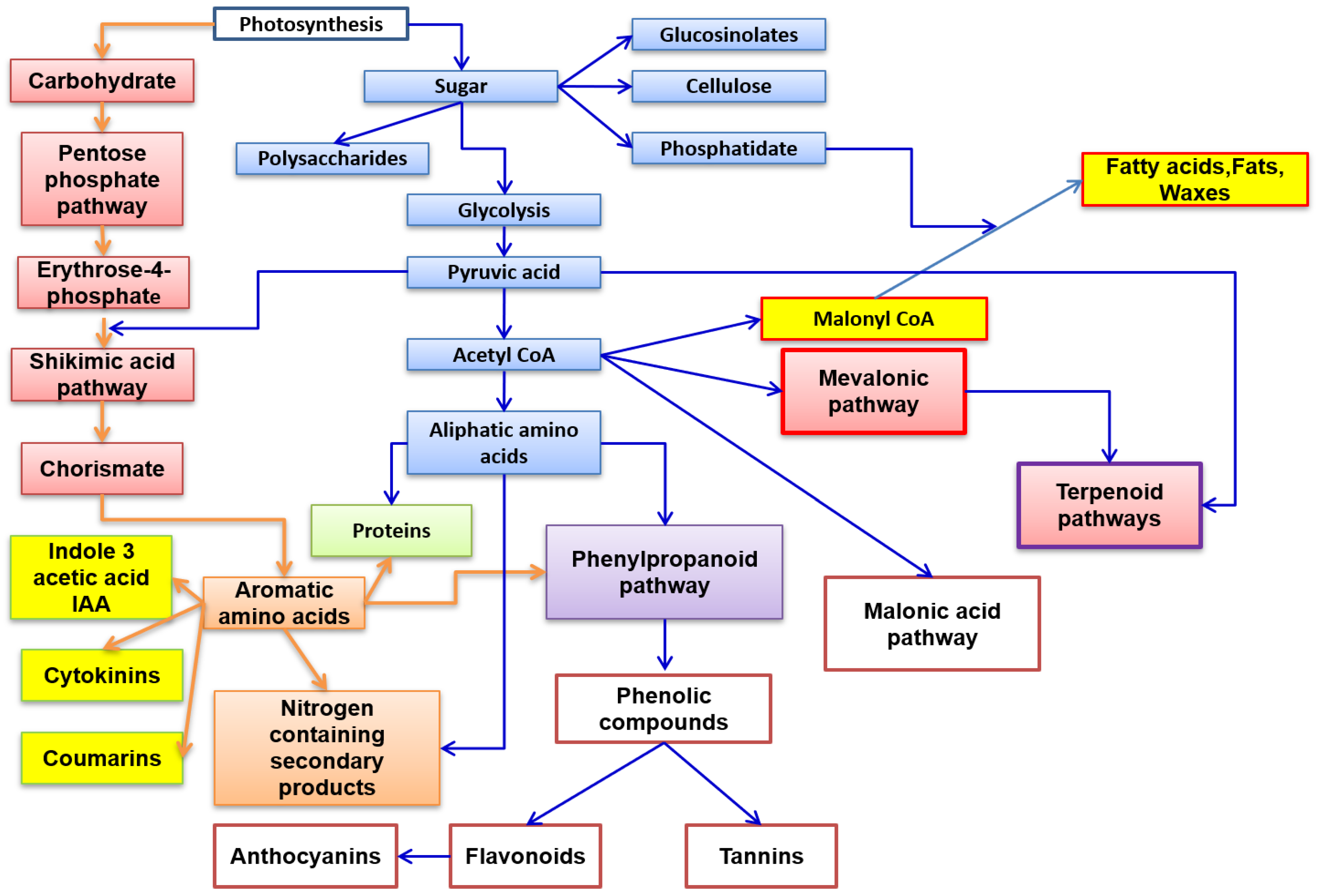 Molecules 27 08093 g001
