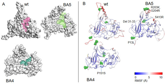 Molecules 27 08094 g002