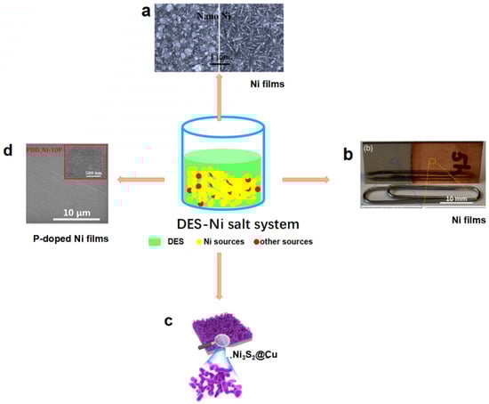 Molecules 27 08098 g002