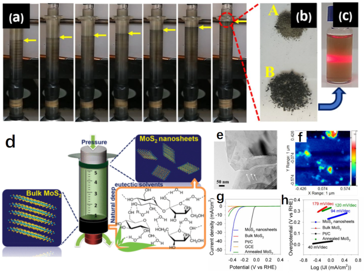 Molecules 27 08098 g004