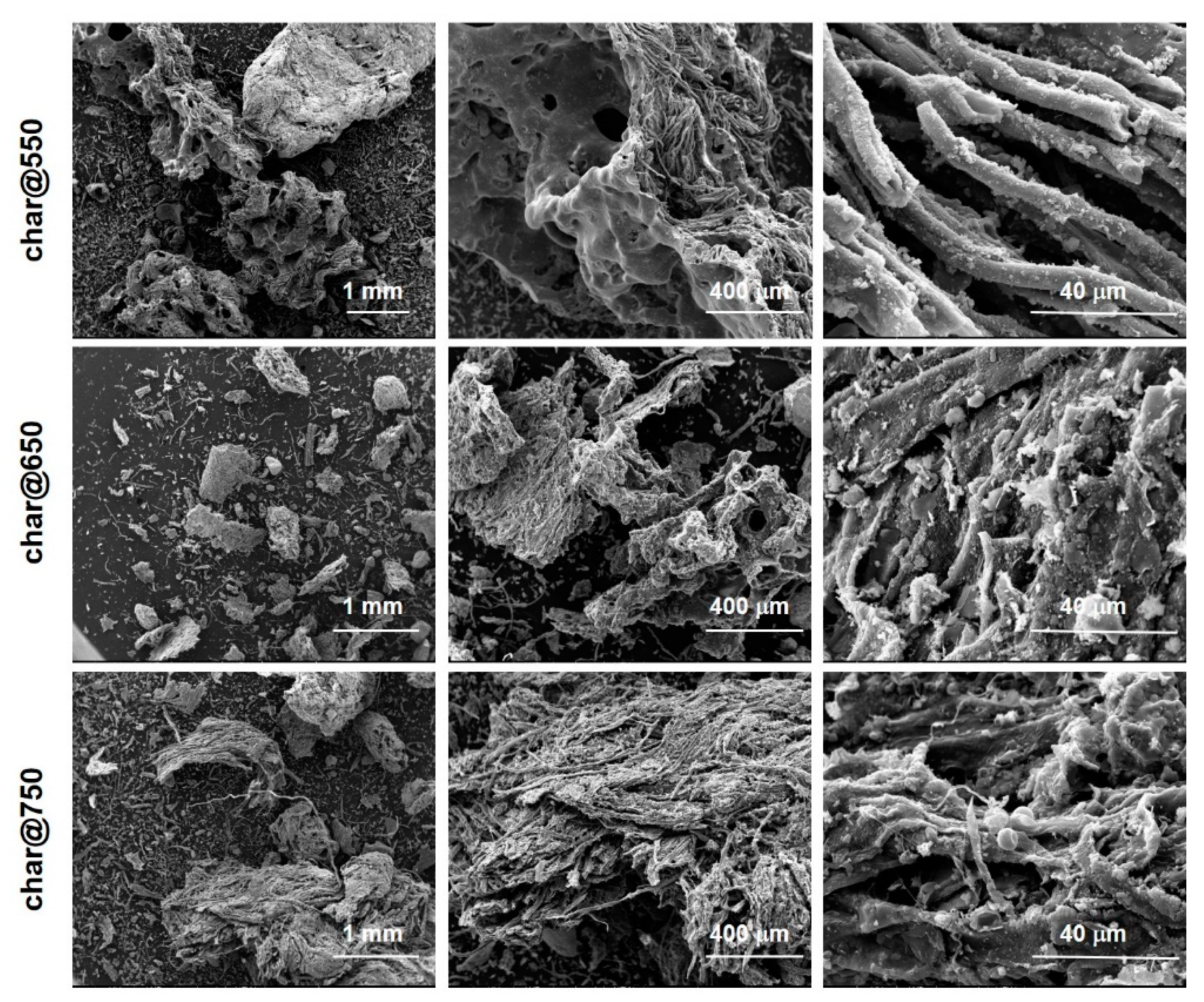 Molecules 27 08114 g004