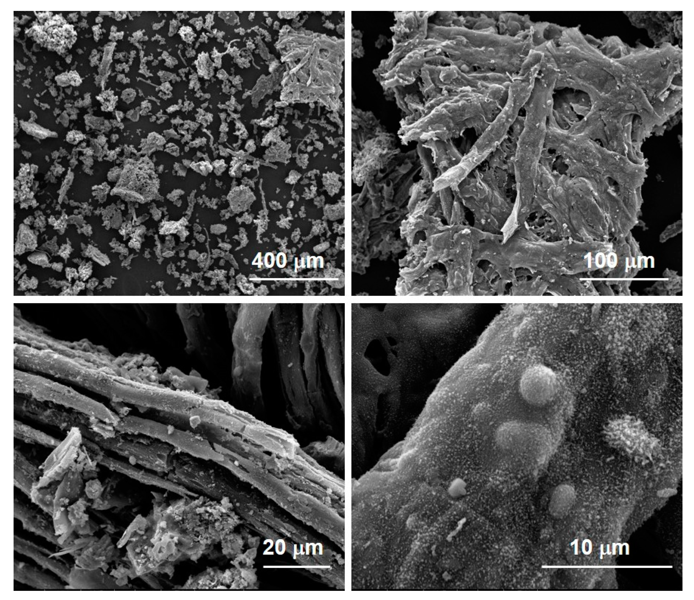 Molecules 27 08114 g010